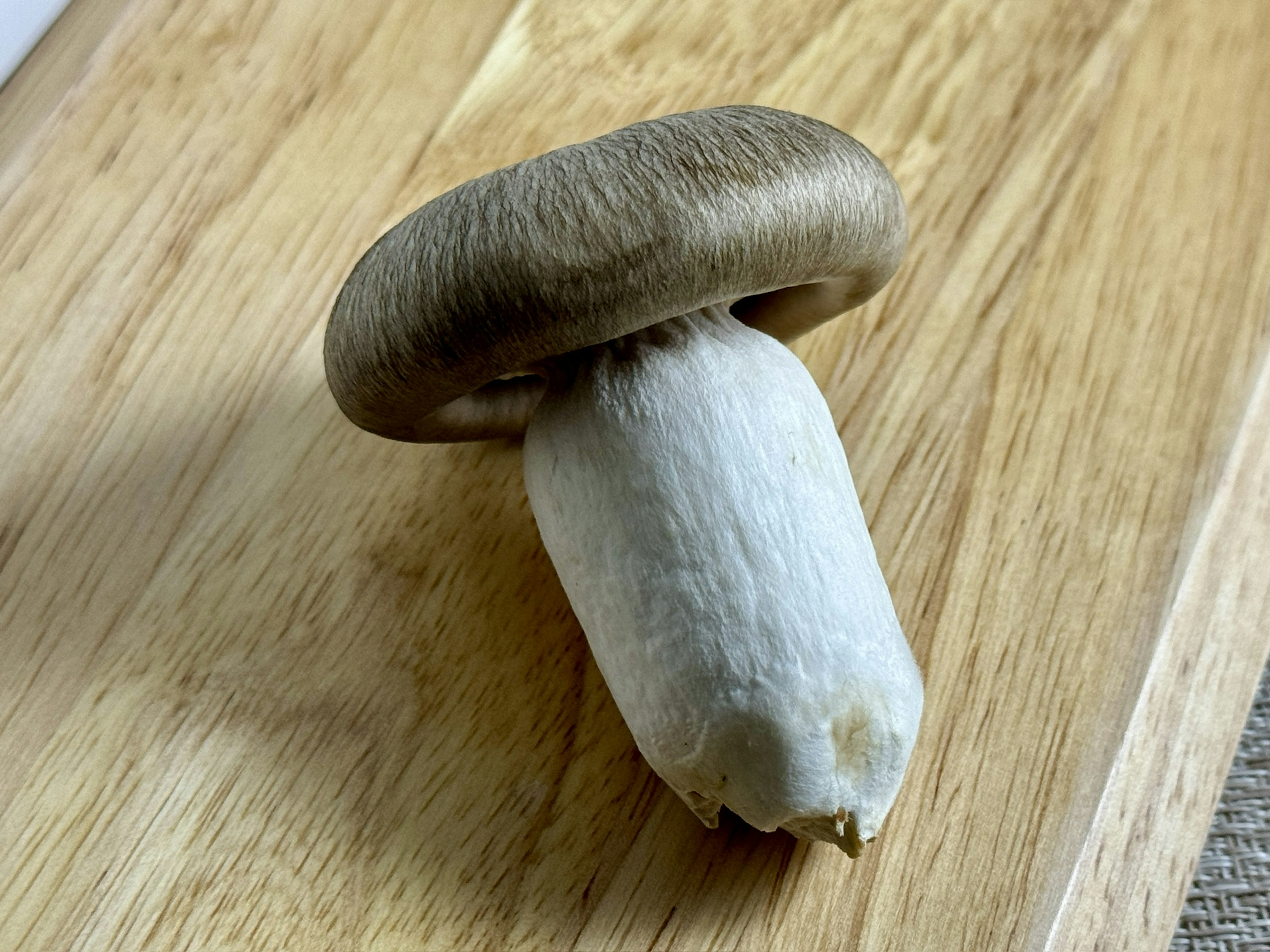 Champignon avec une tige blanche et un chapeau marron