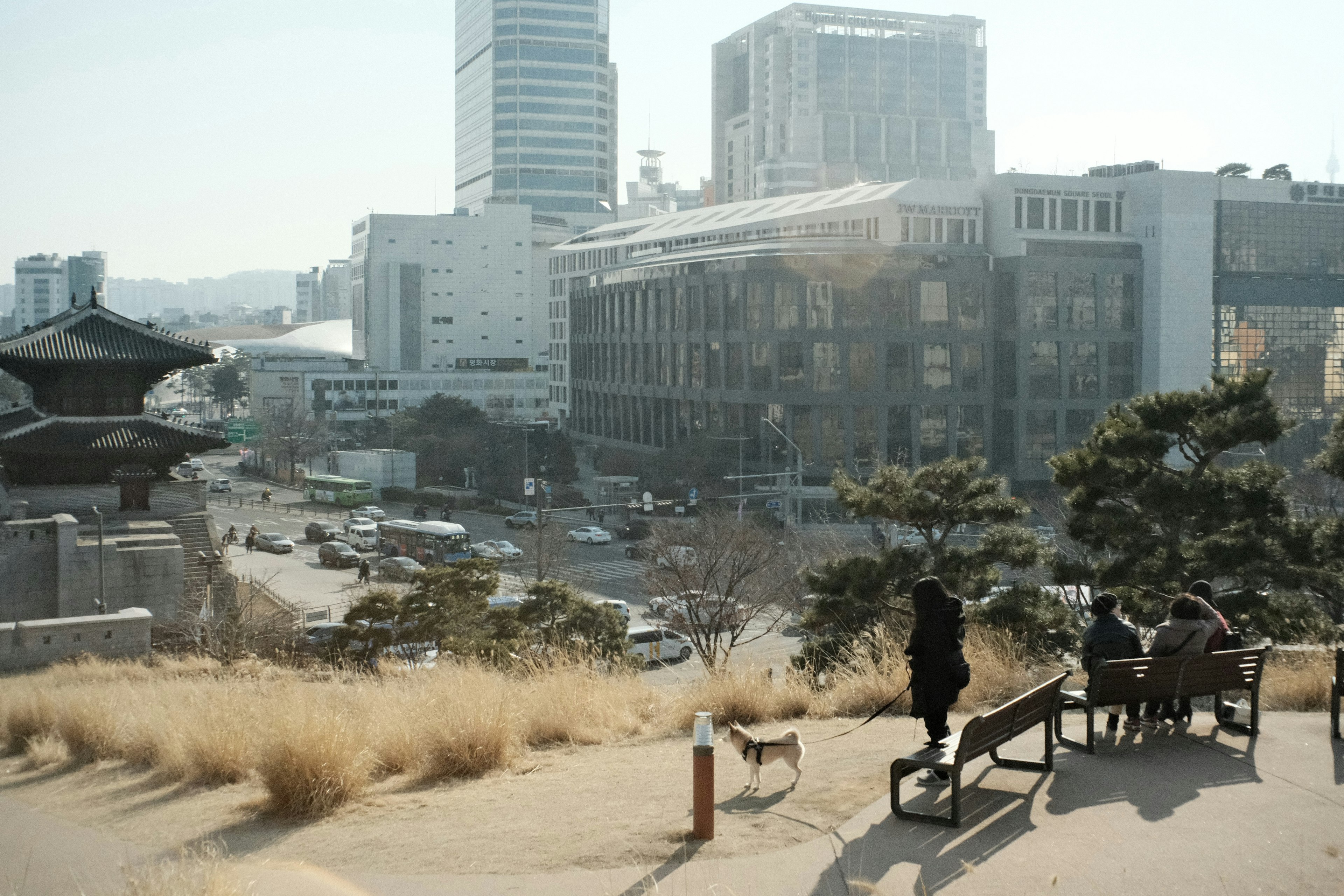 Paesaggio urbano di Seoul con panchine nel parco e edifici moderni