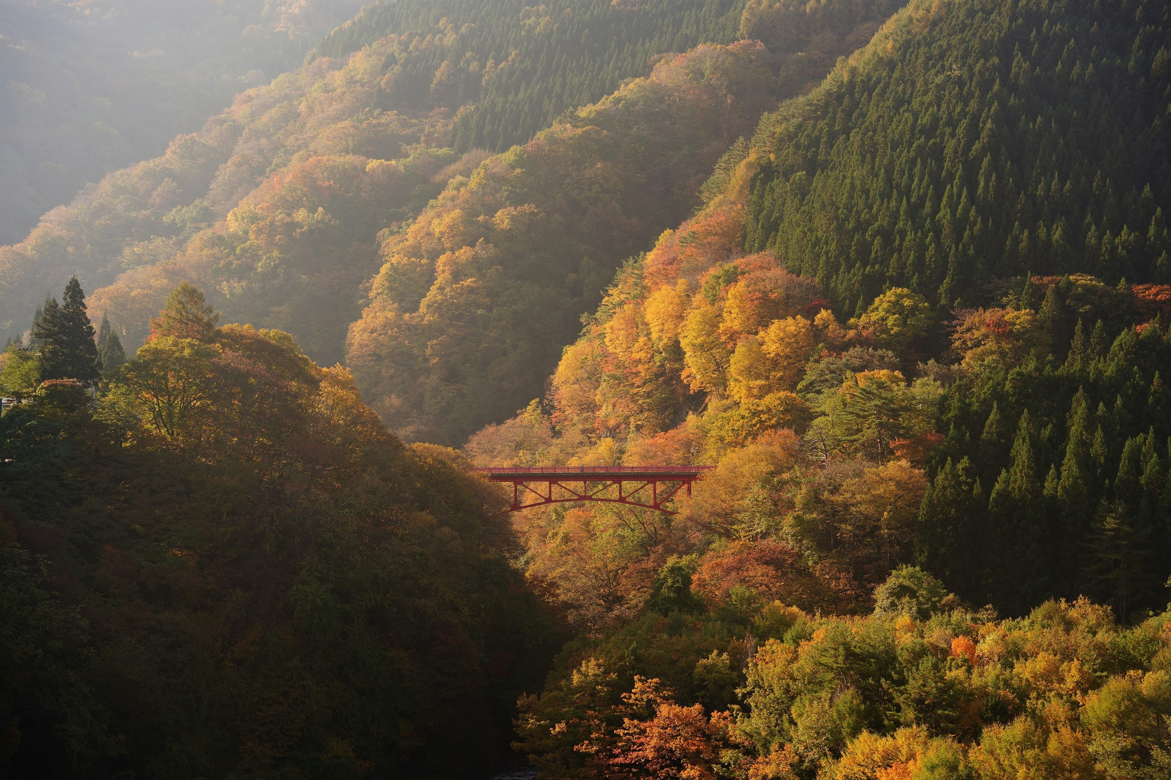 美しい秋の風景にかかる赤い橋と色づいた木々