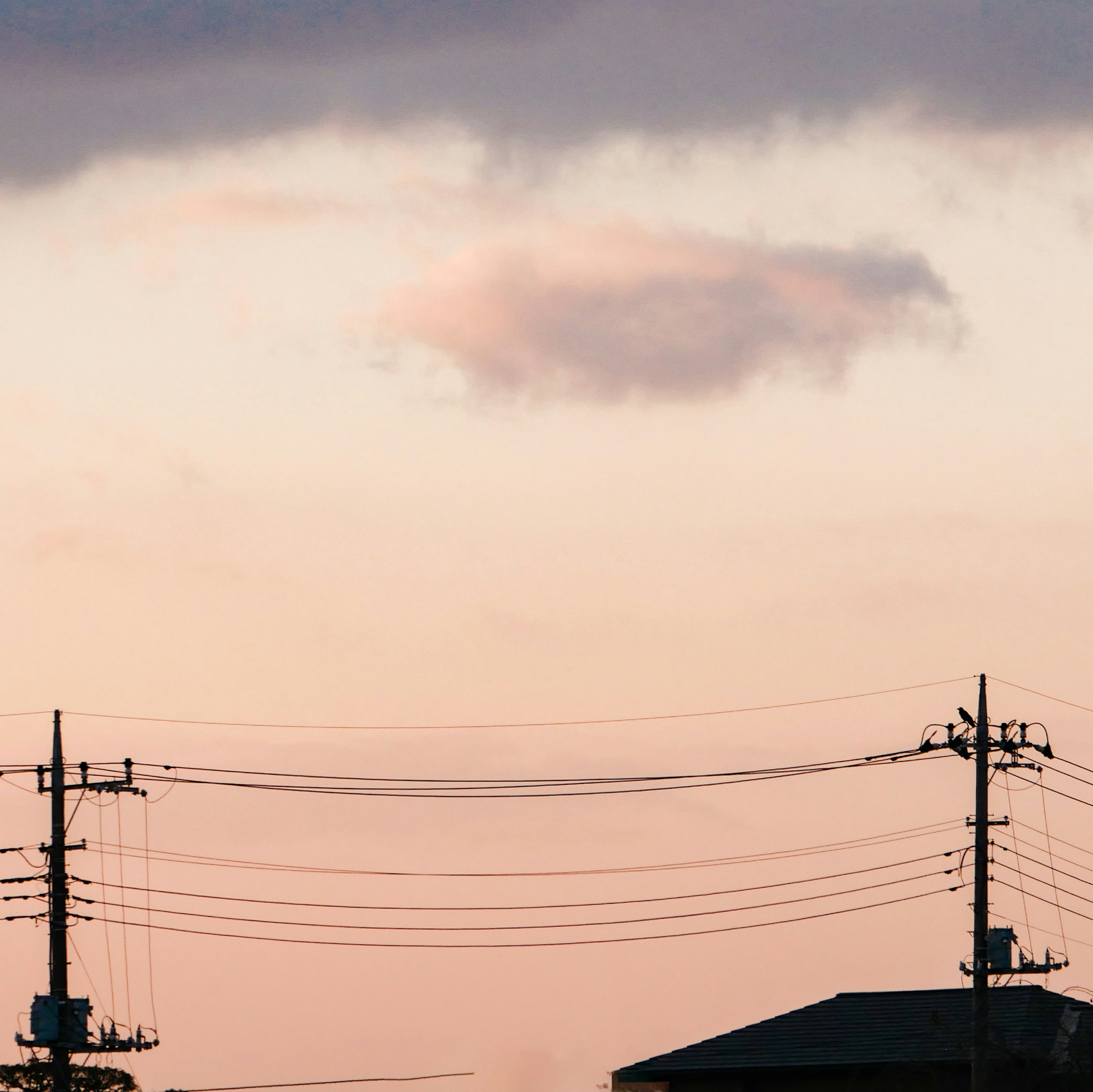 夕焼けの空にシルエットの電柱と建物