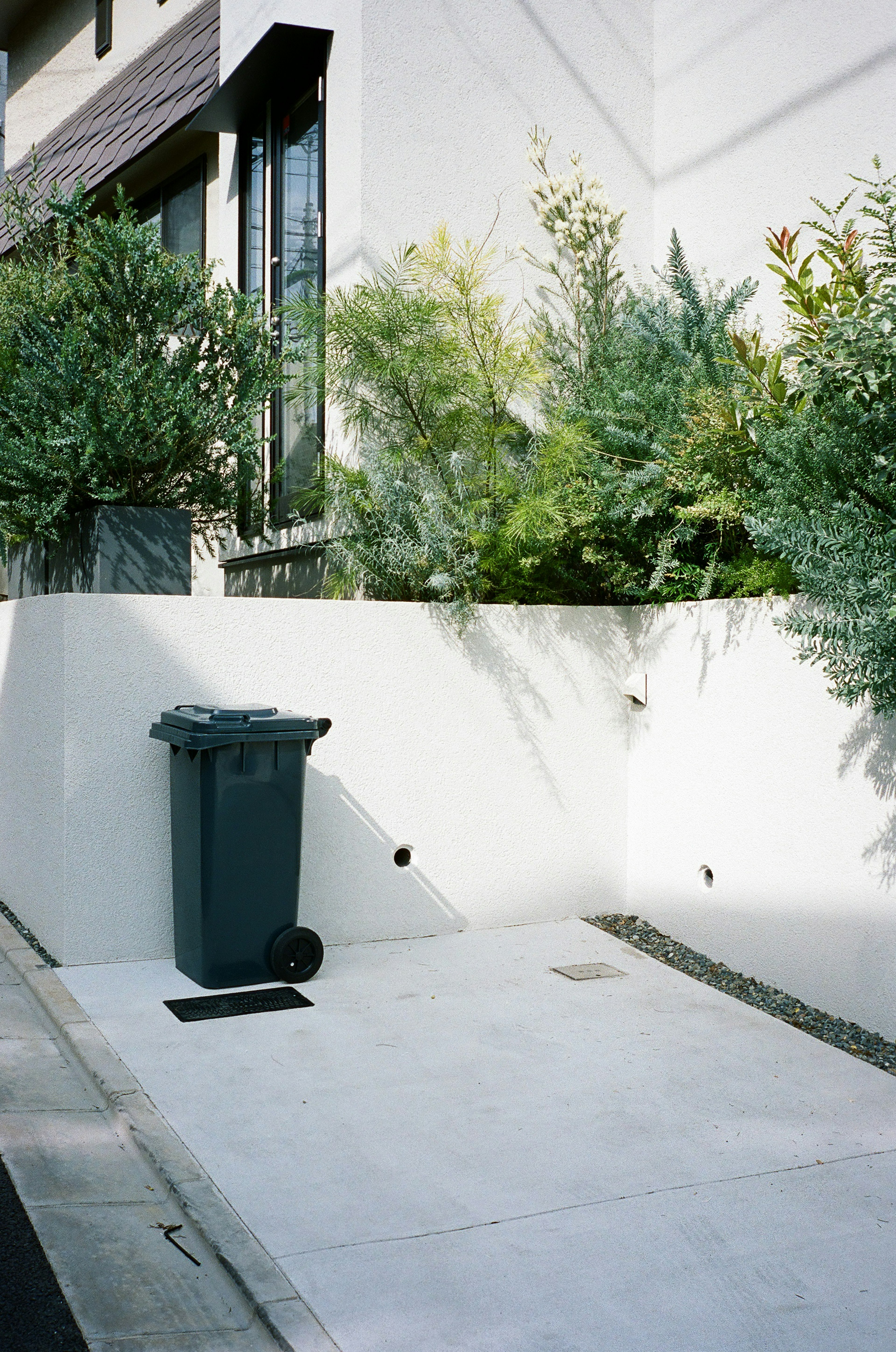 Residential exterior with a green trash bin and surrounding greenery