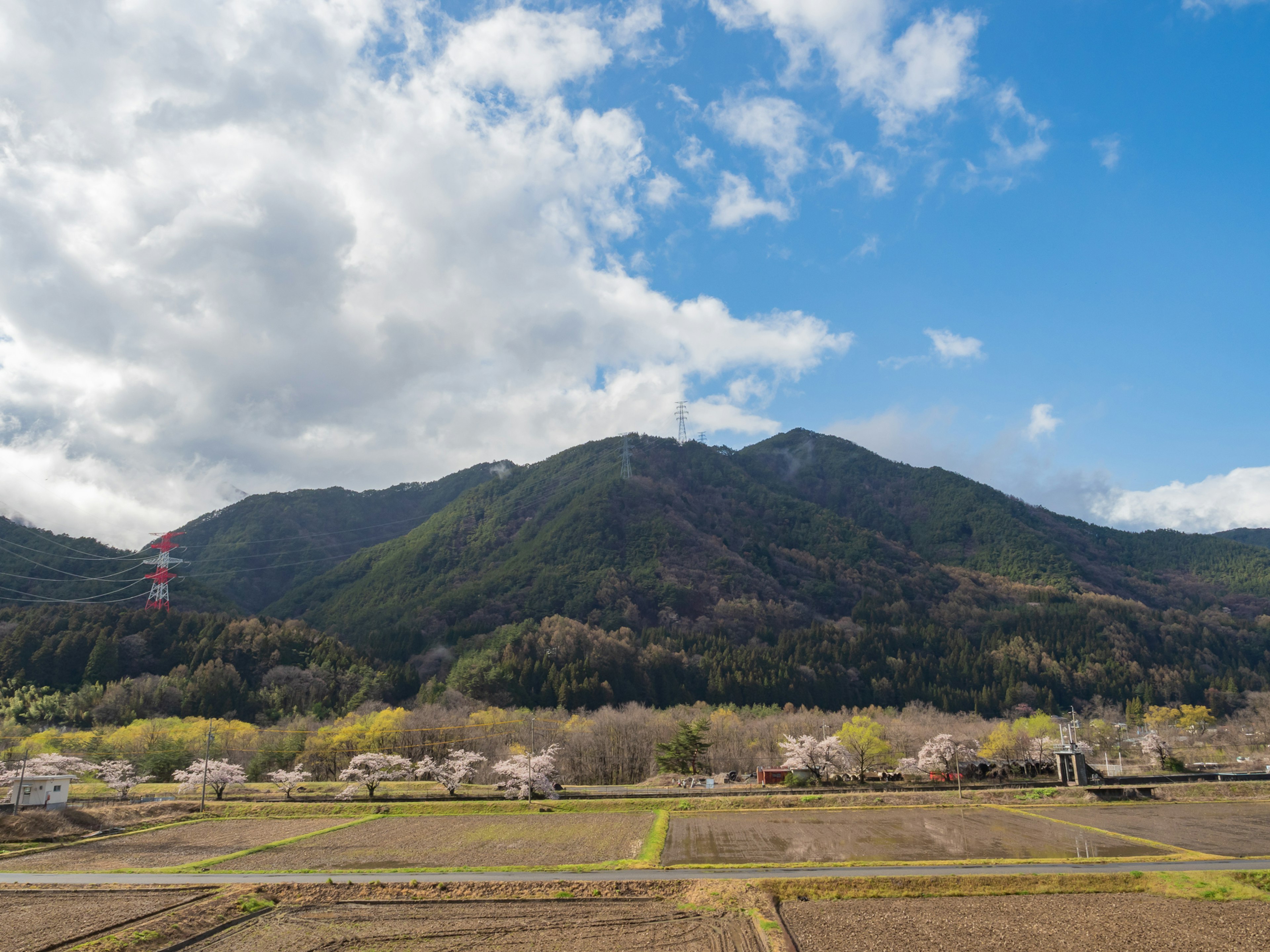 Pemandangan indah gunung dengan bunga sakura di daerah pedesaan