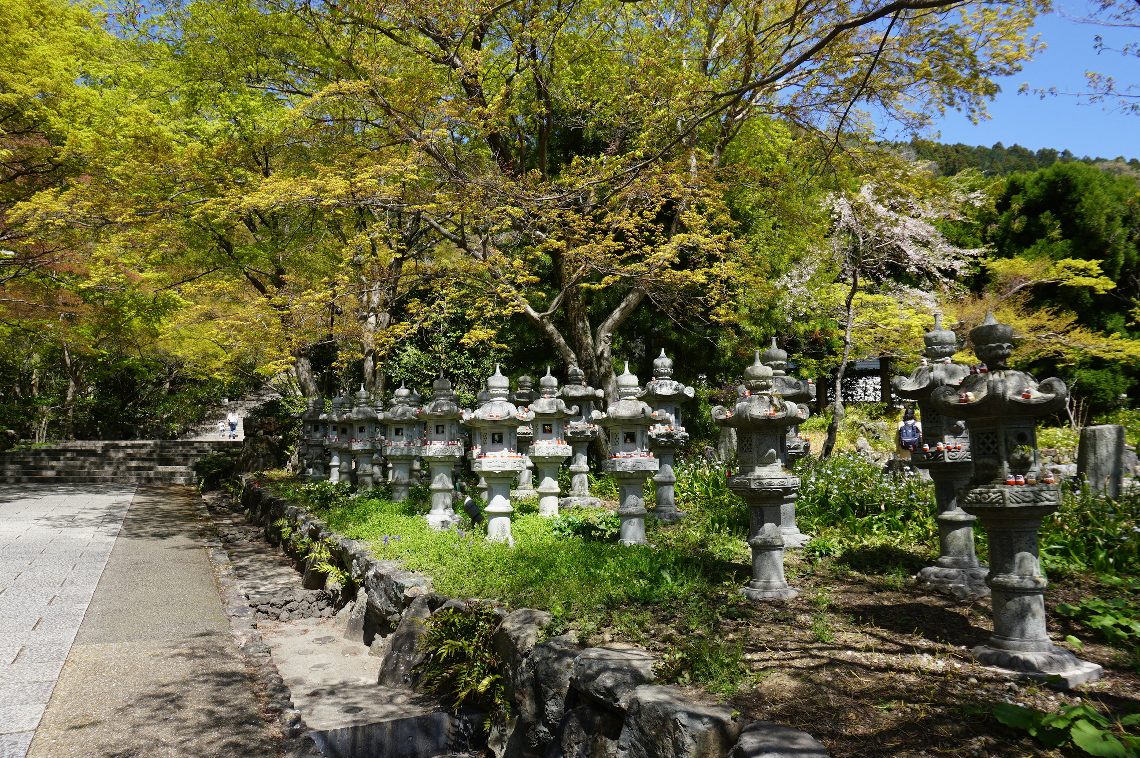 Scenic view of stone lanterns lined up with green trees and blue sky