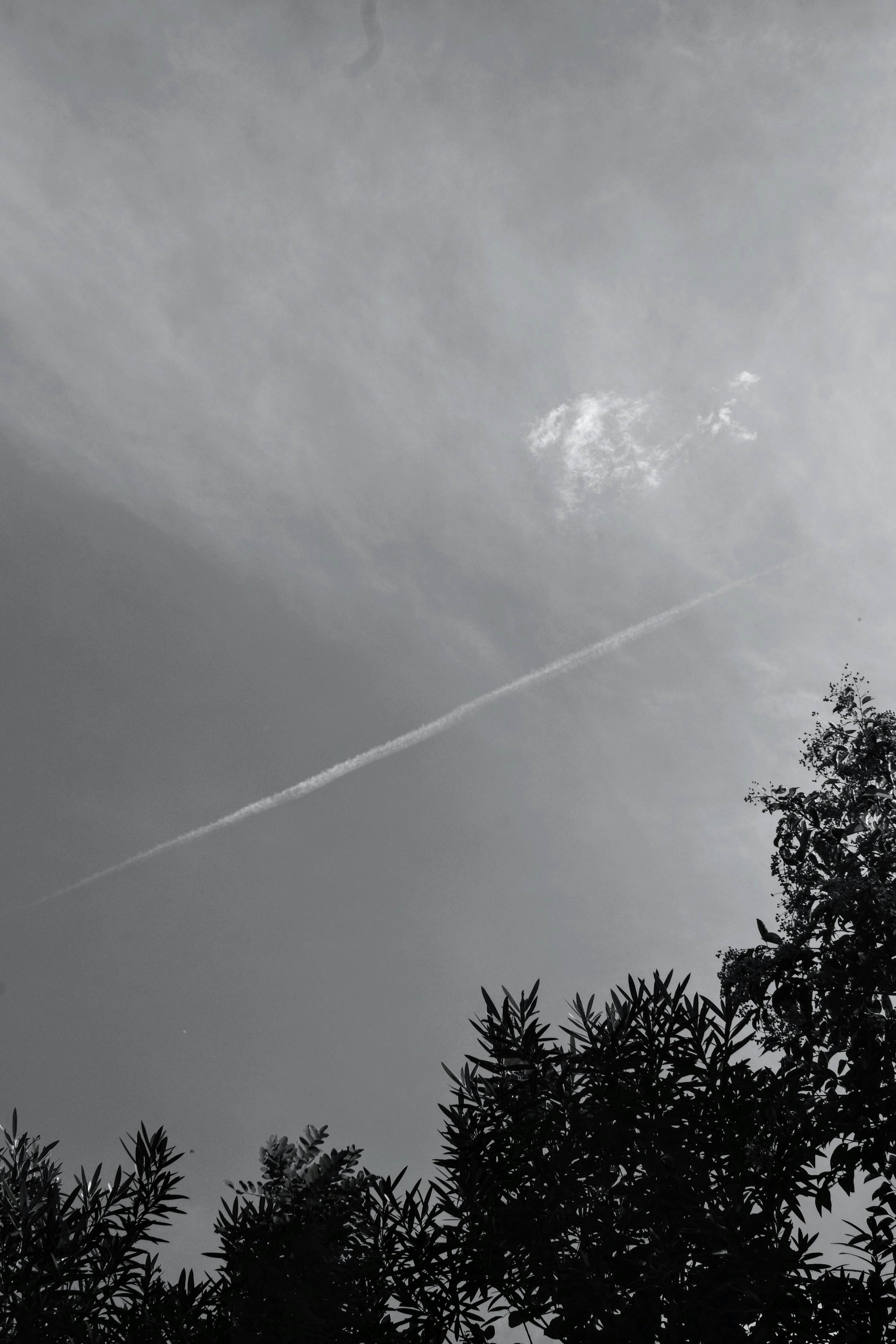 空に広がる雲と飛行機雲の写真