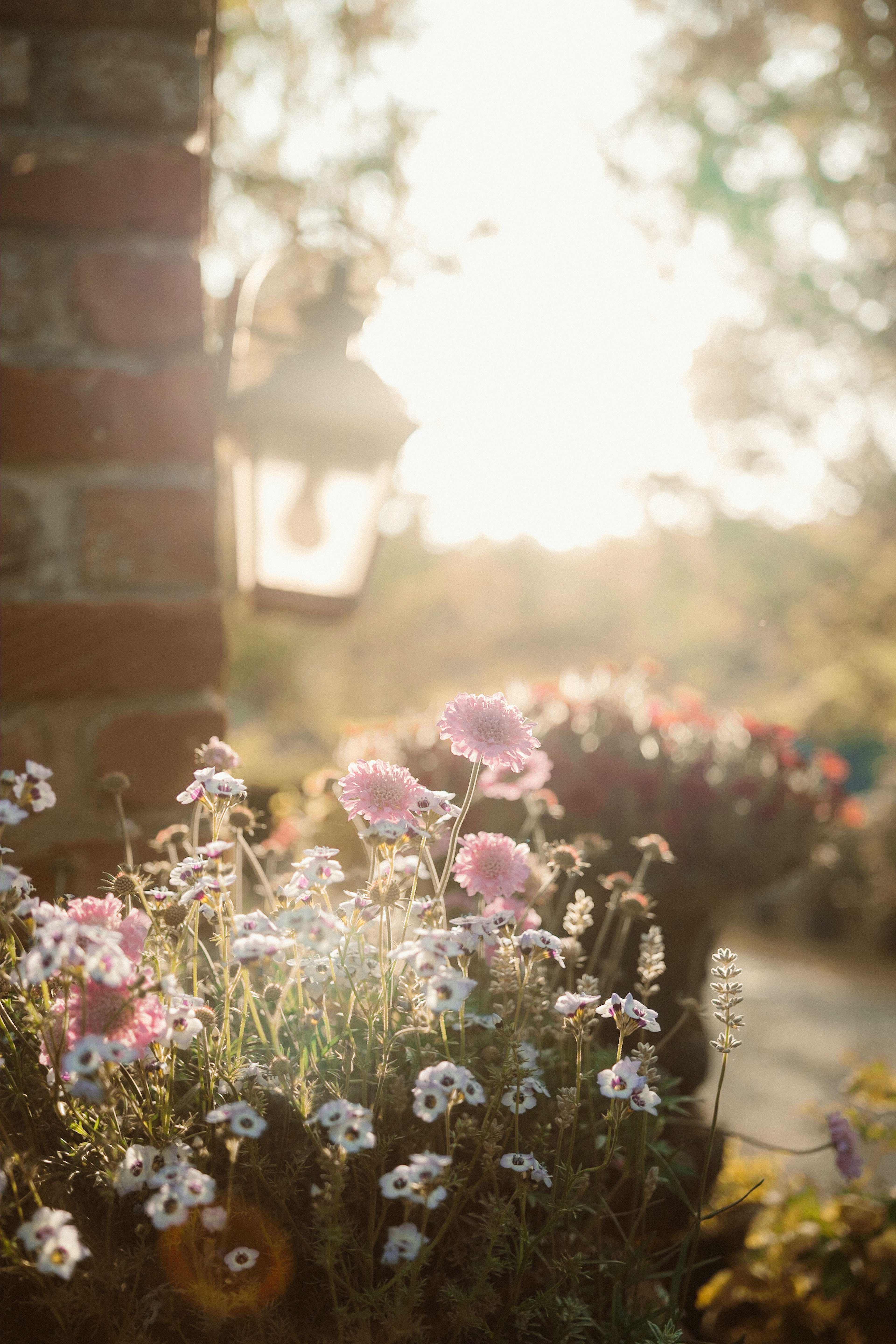 Warmes Gartenszenario mit Blumen und einer Laterne