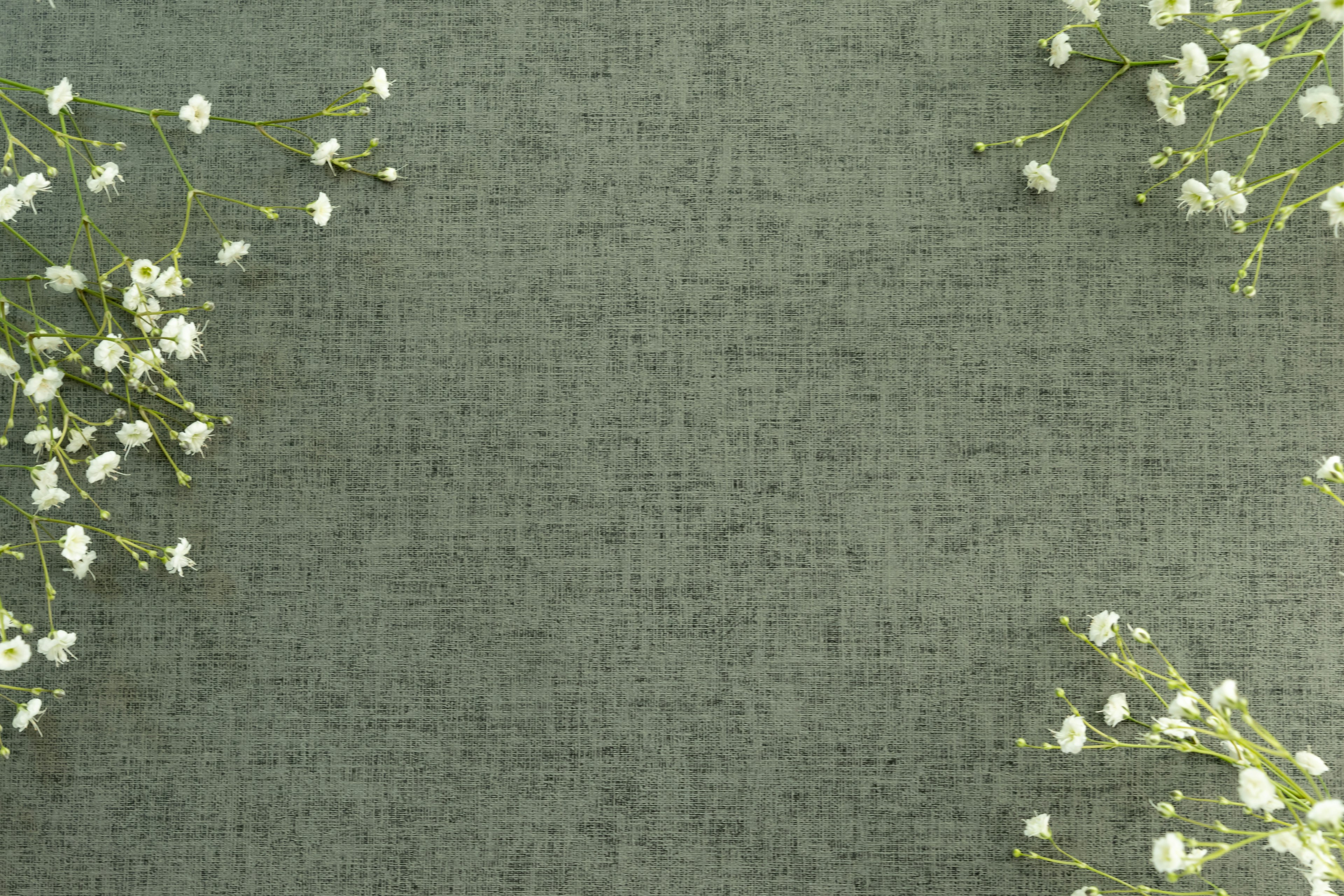 Un fond en tissu vert doux avec de petites fleurs blanches éparpillées