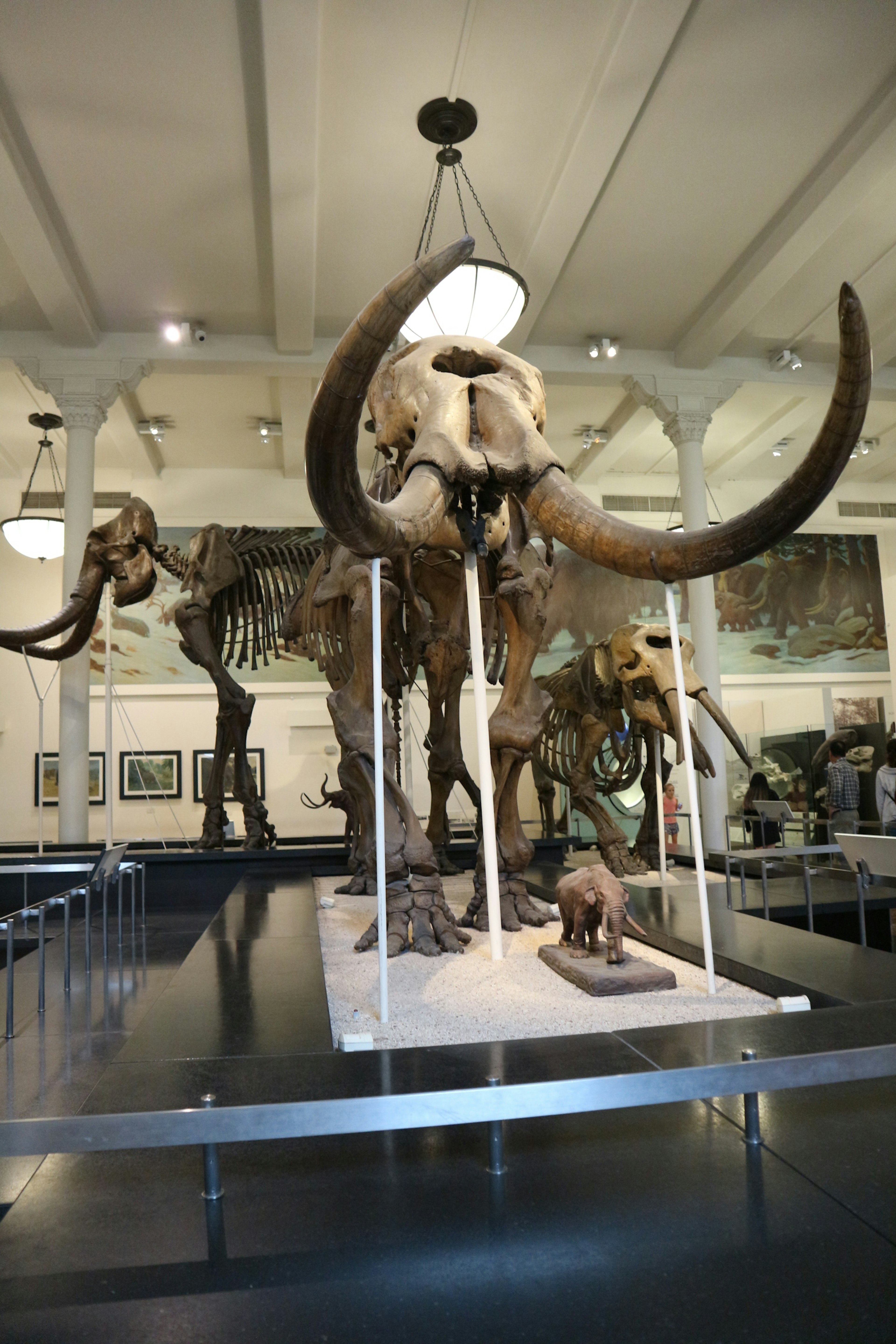 Kerangka mammoth besar yang dipajang di dalam museum