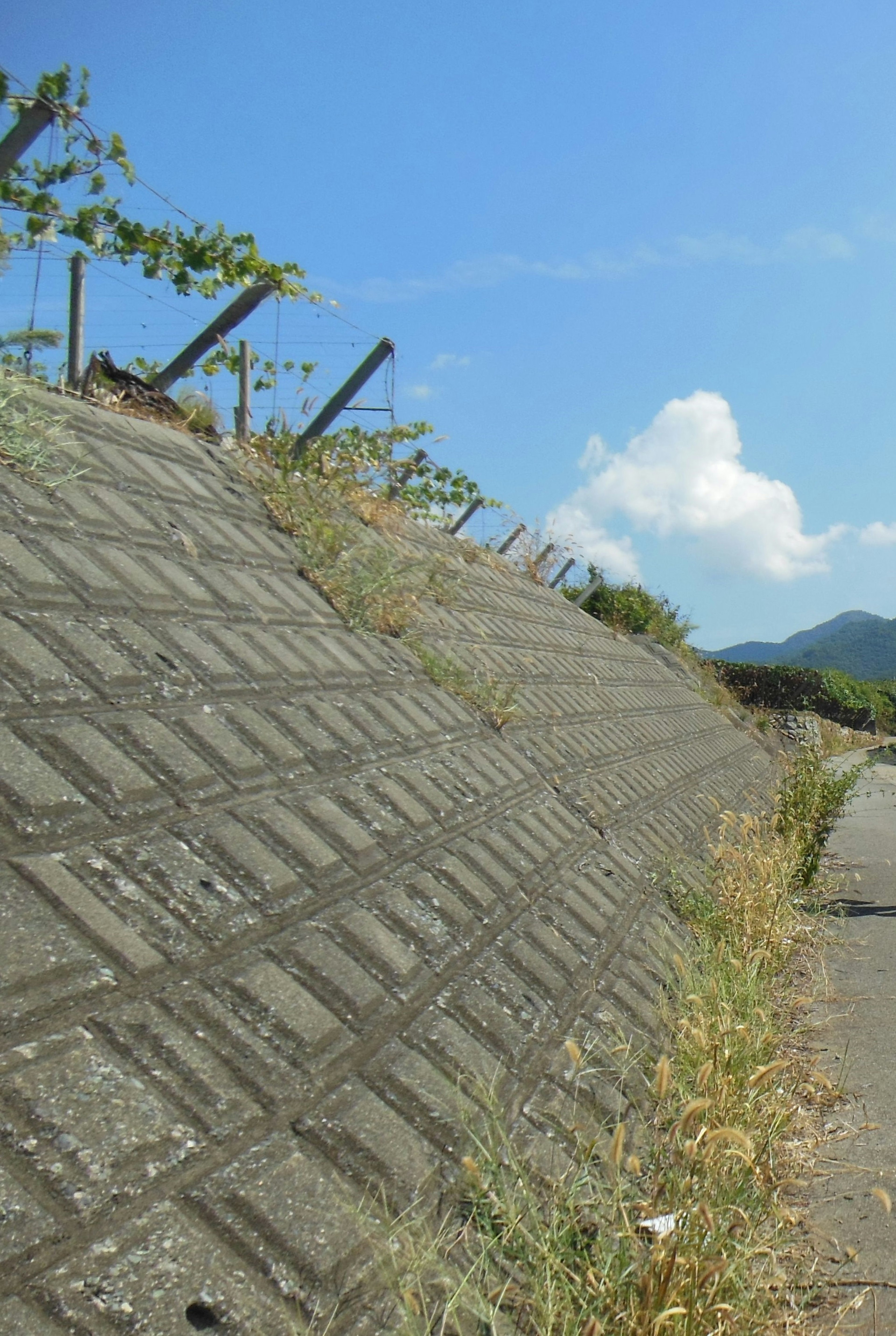 Concrete slope with grass and blue sky