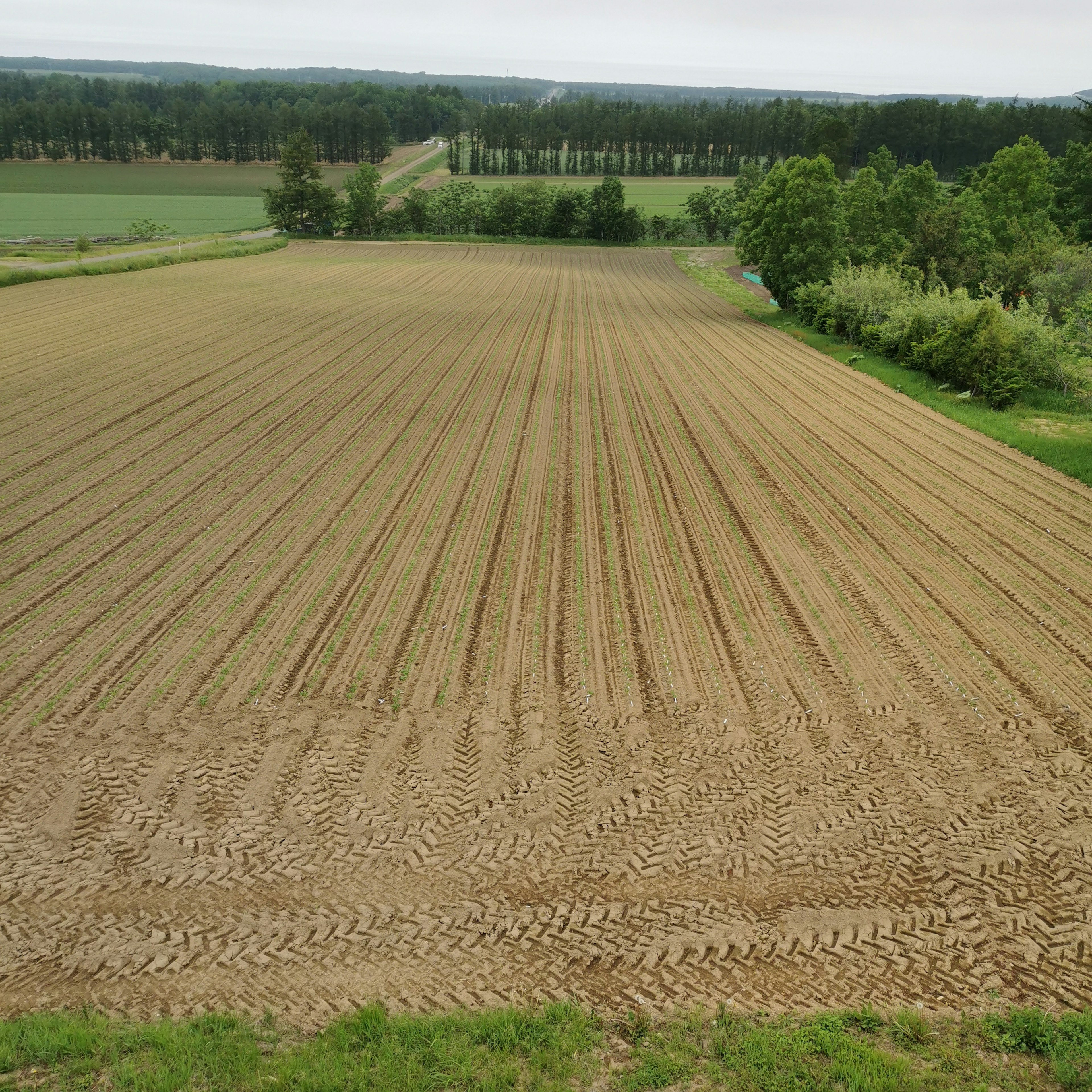 Weitläufige Landwirtschaftslandschaft mit linearen Pflugreihen