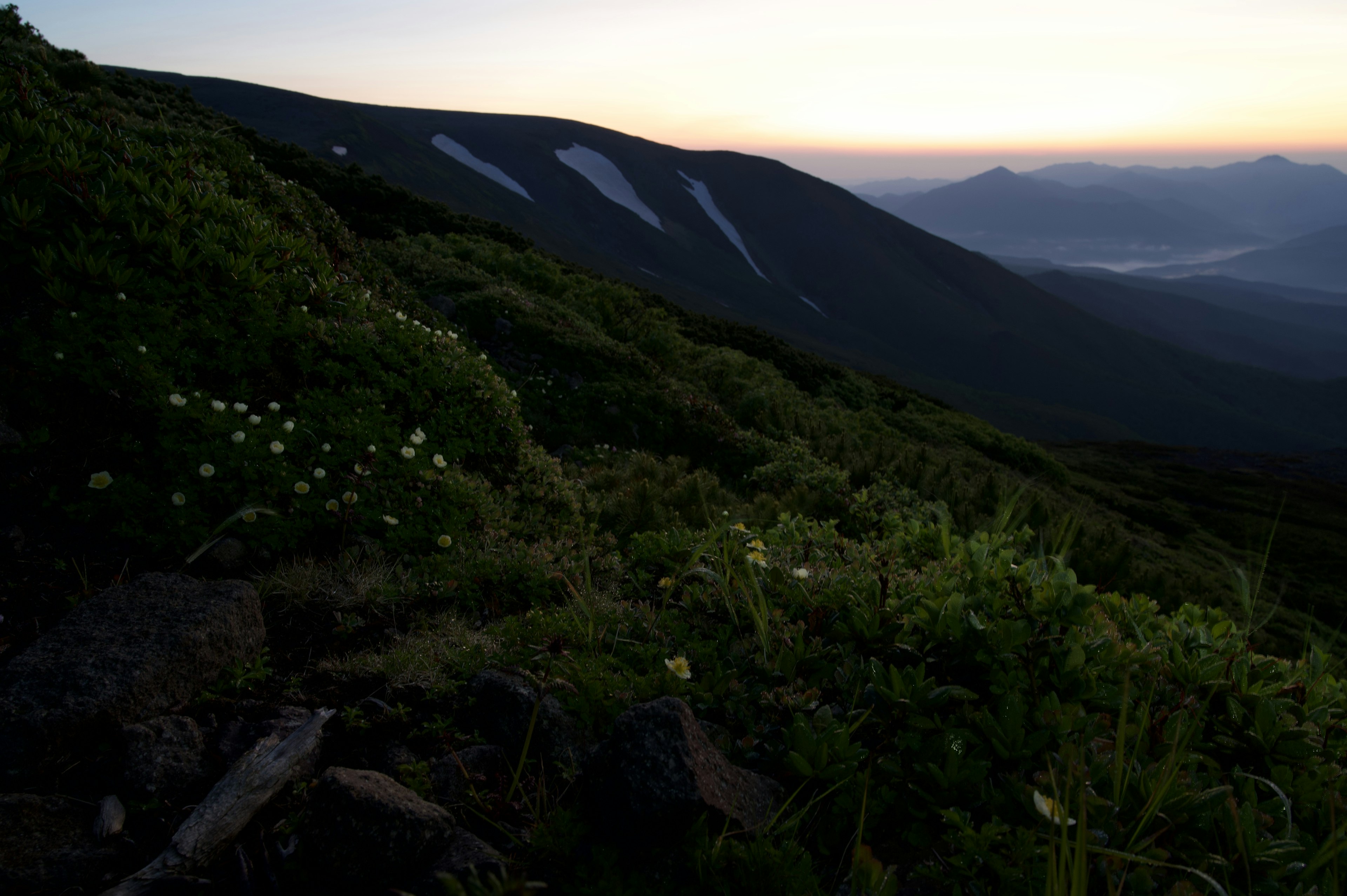 Paisaje montañoso pintoresco al anochecer con vegetación exuberante y flores blancas dispersas