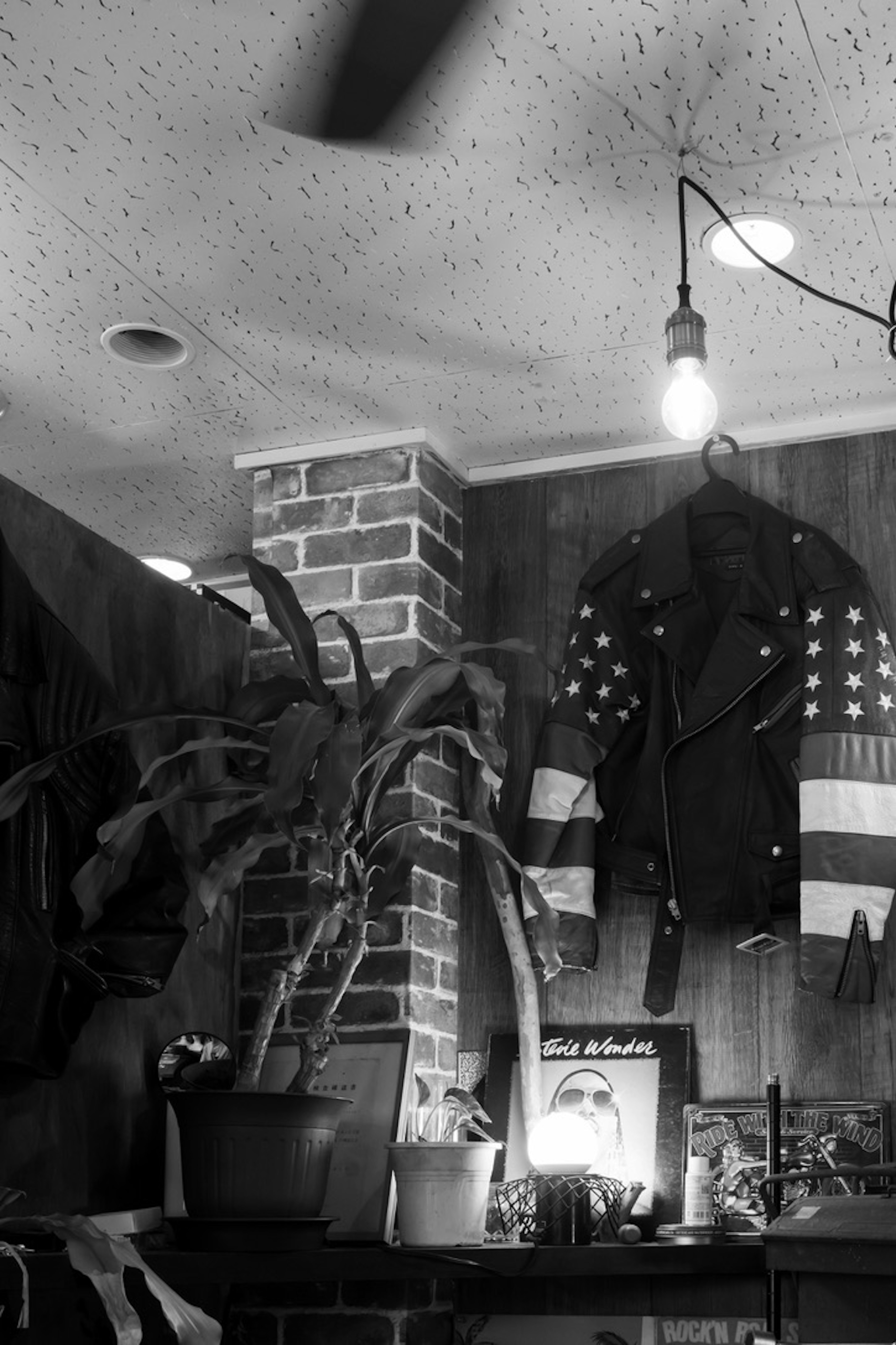 A room with a leather jacket hanging on a brick wall and potted plants in black and white