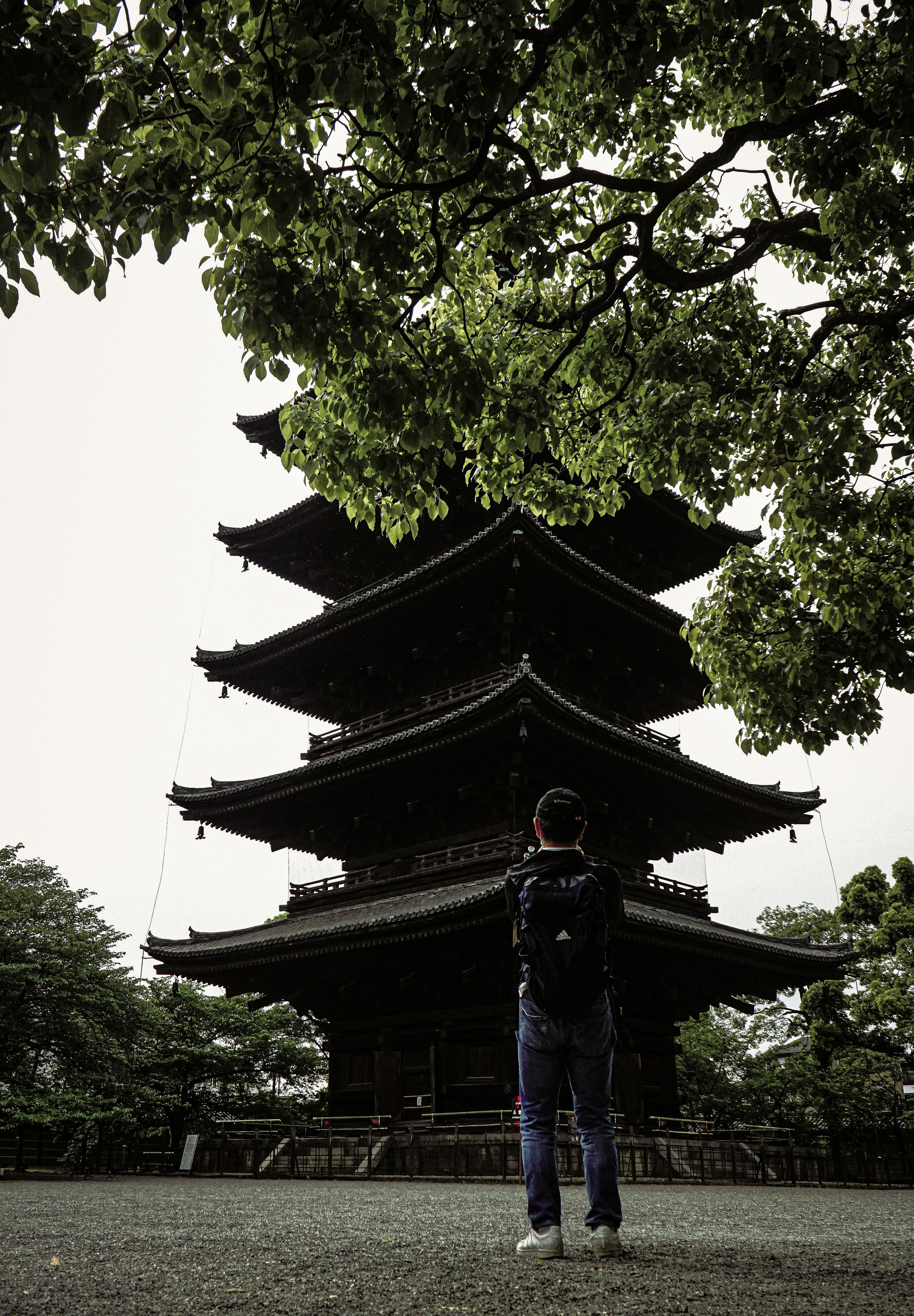 Une personne se tenant devant une pagode entourée de verdure