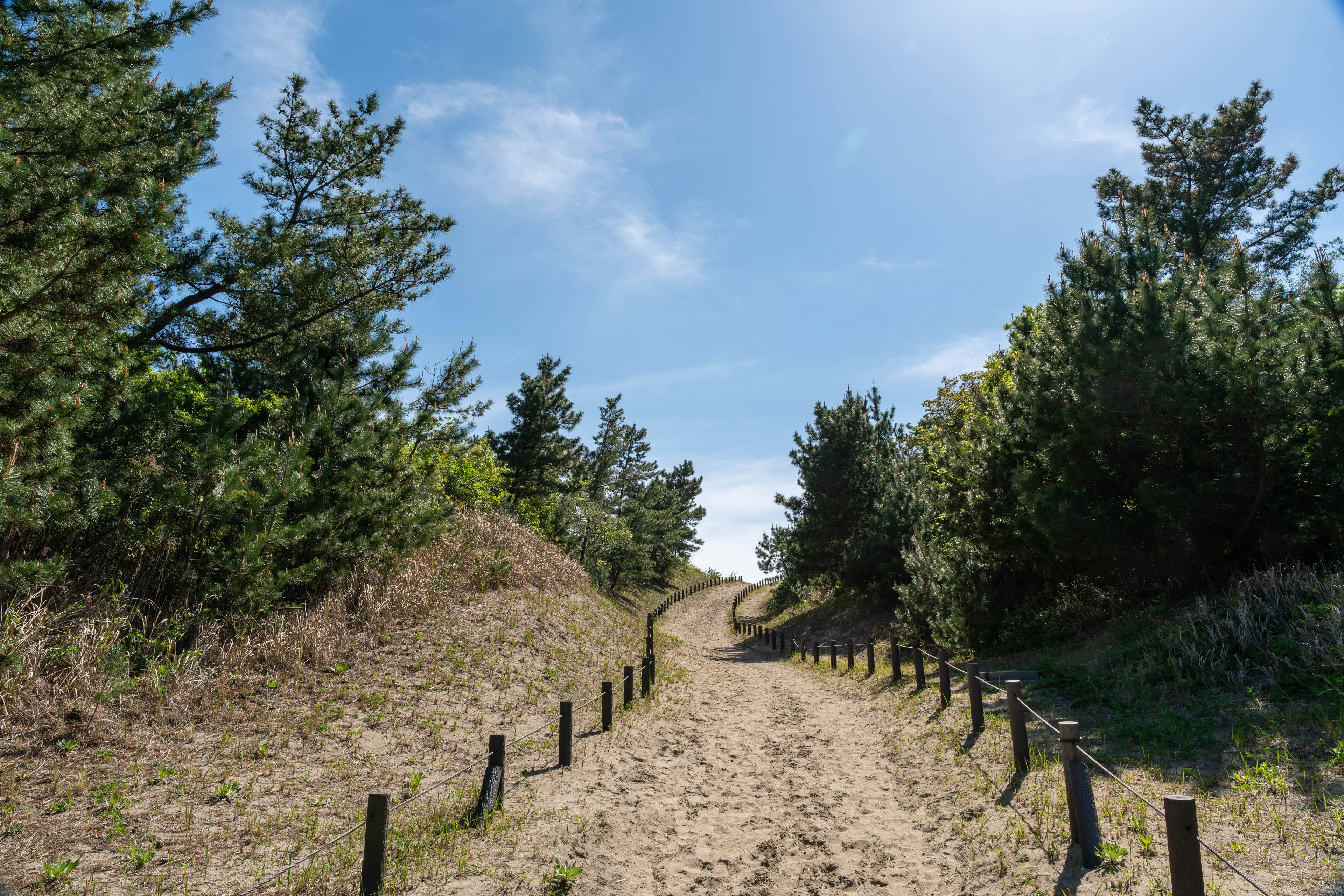 Chemin de gravier entouré de verdure sous un ciel bleu