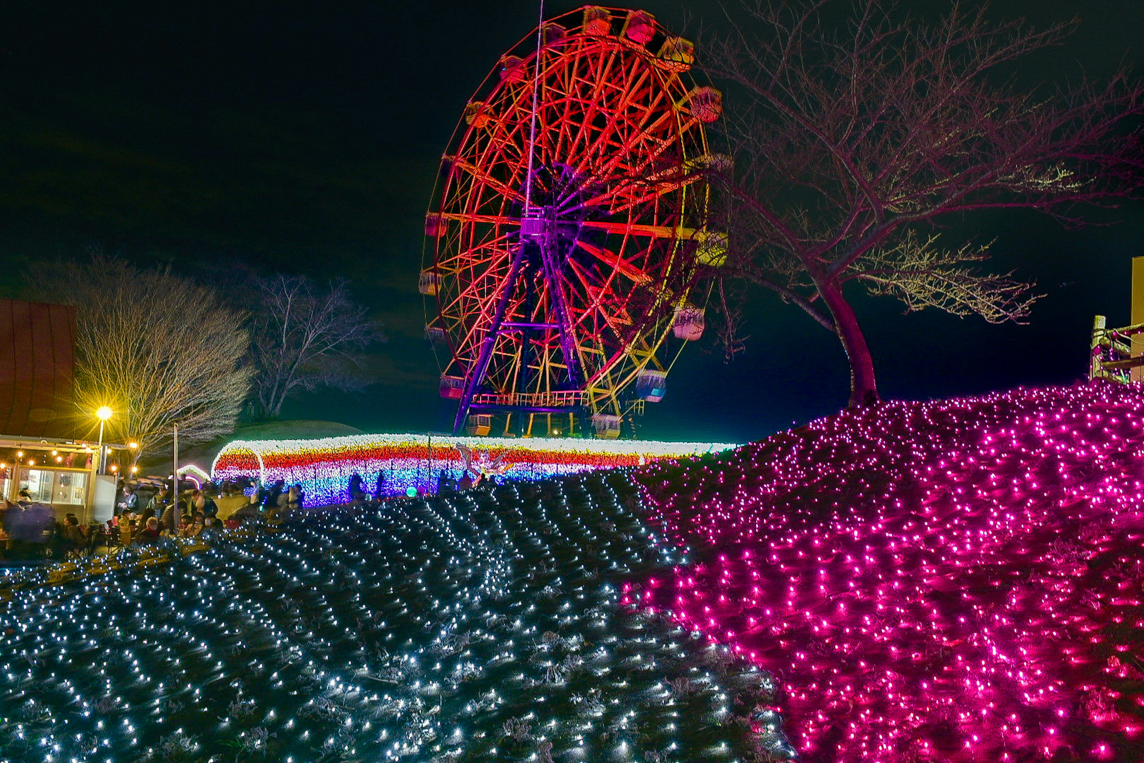 Vista nocturna de una noria colorida rodeada de luces vibrantes