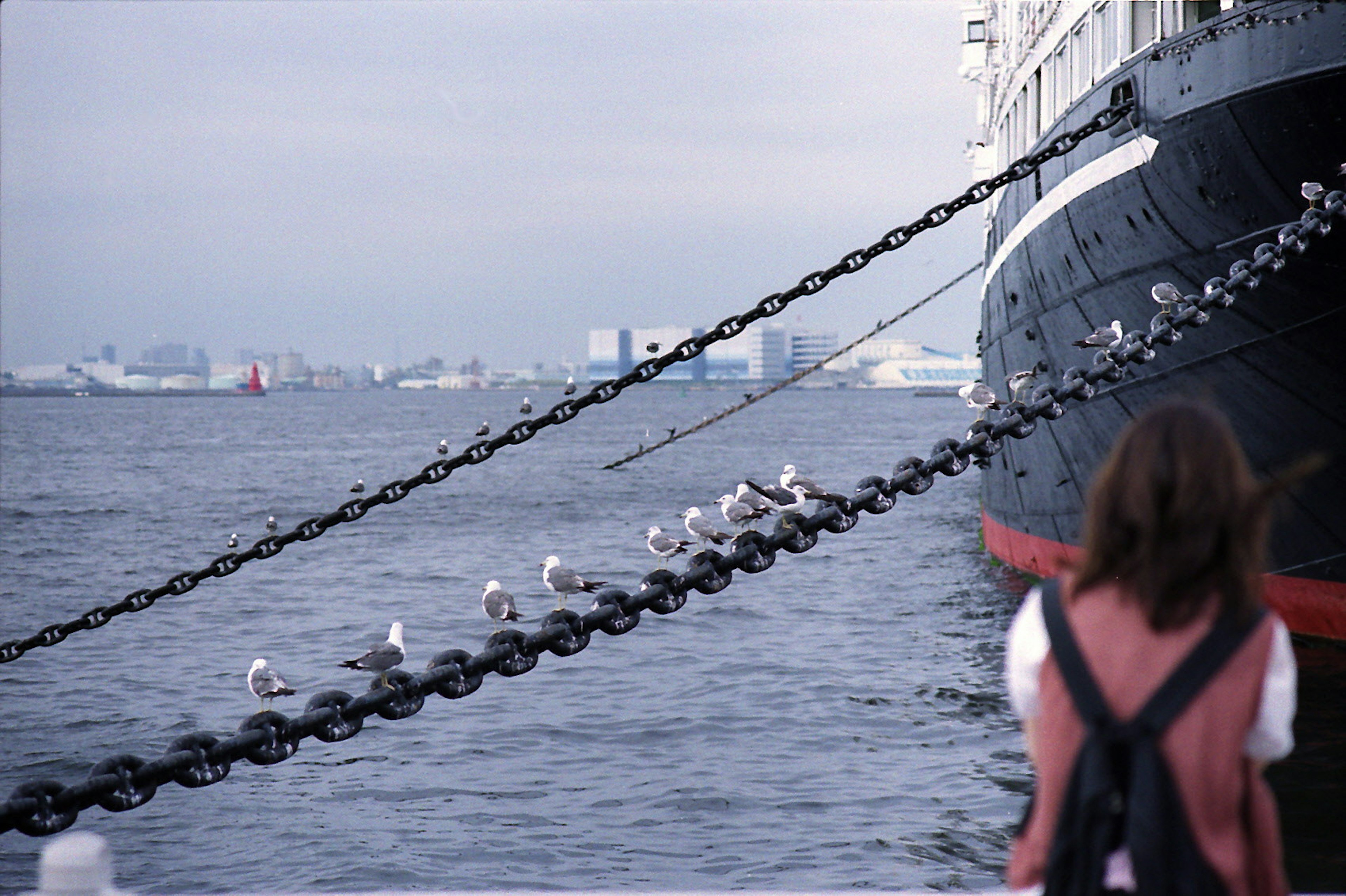 Un navire sur l'eau avec une ligne de mouettes perchées sur des chaînes