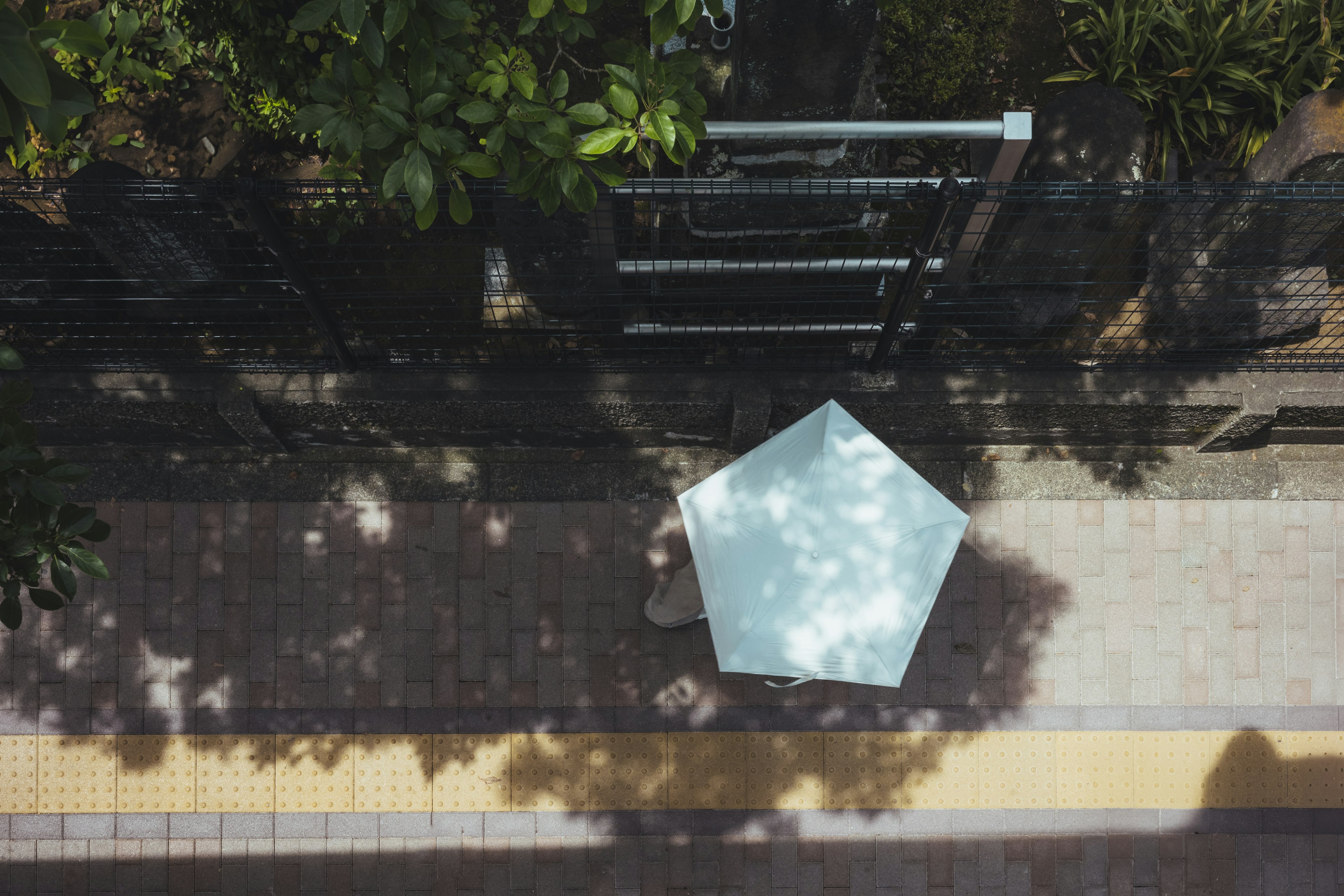 A blue hexagonal table surrounded by green trees on a paved walkway