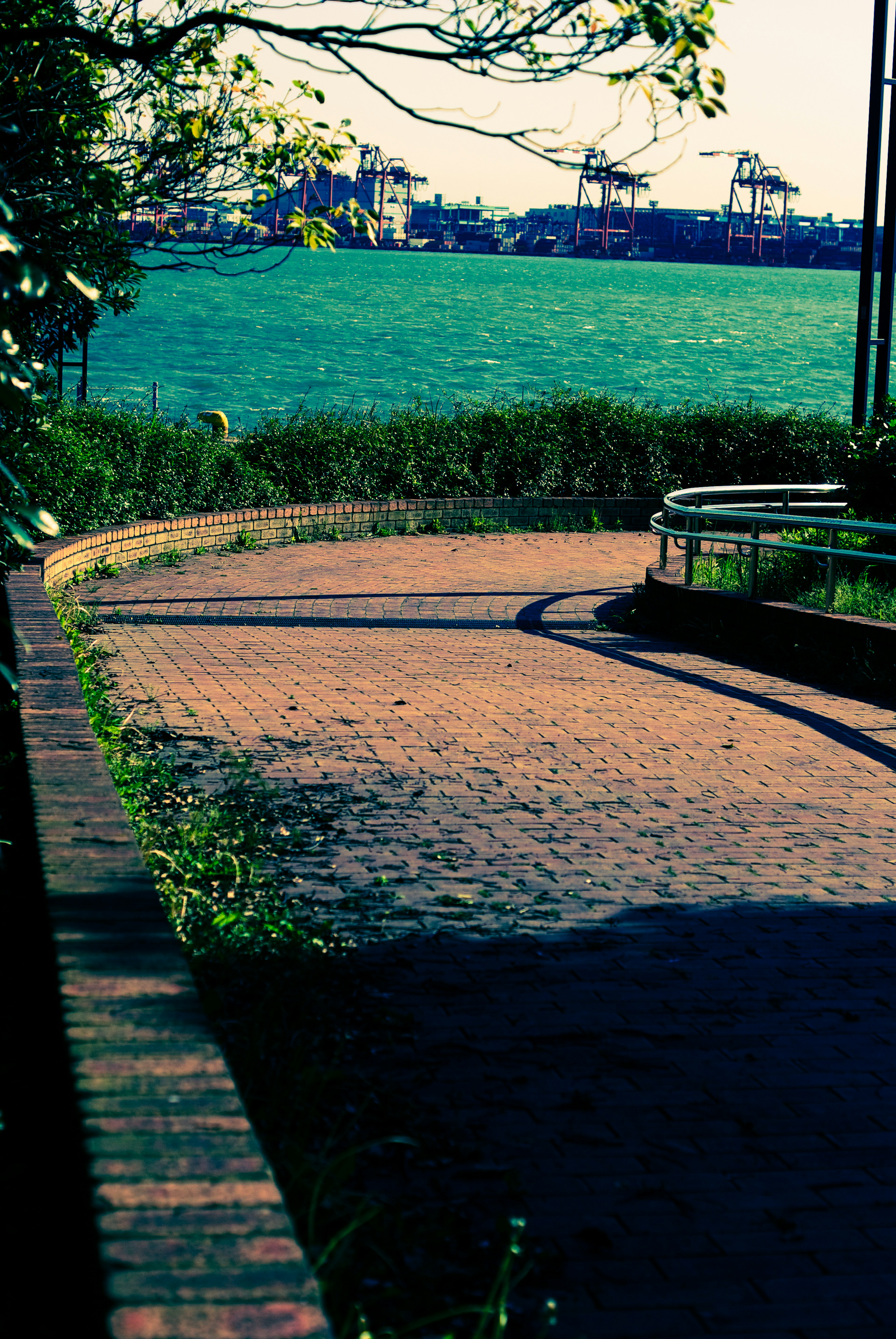 Curved path lined with grass leading to a blue sea