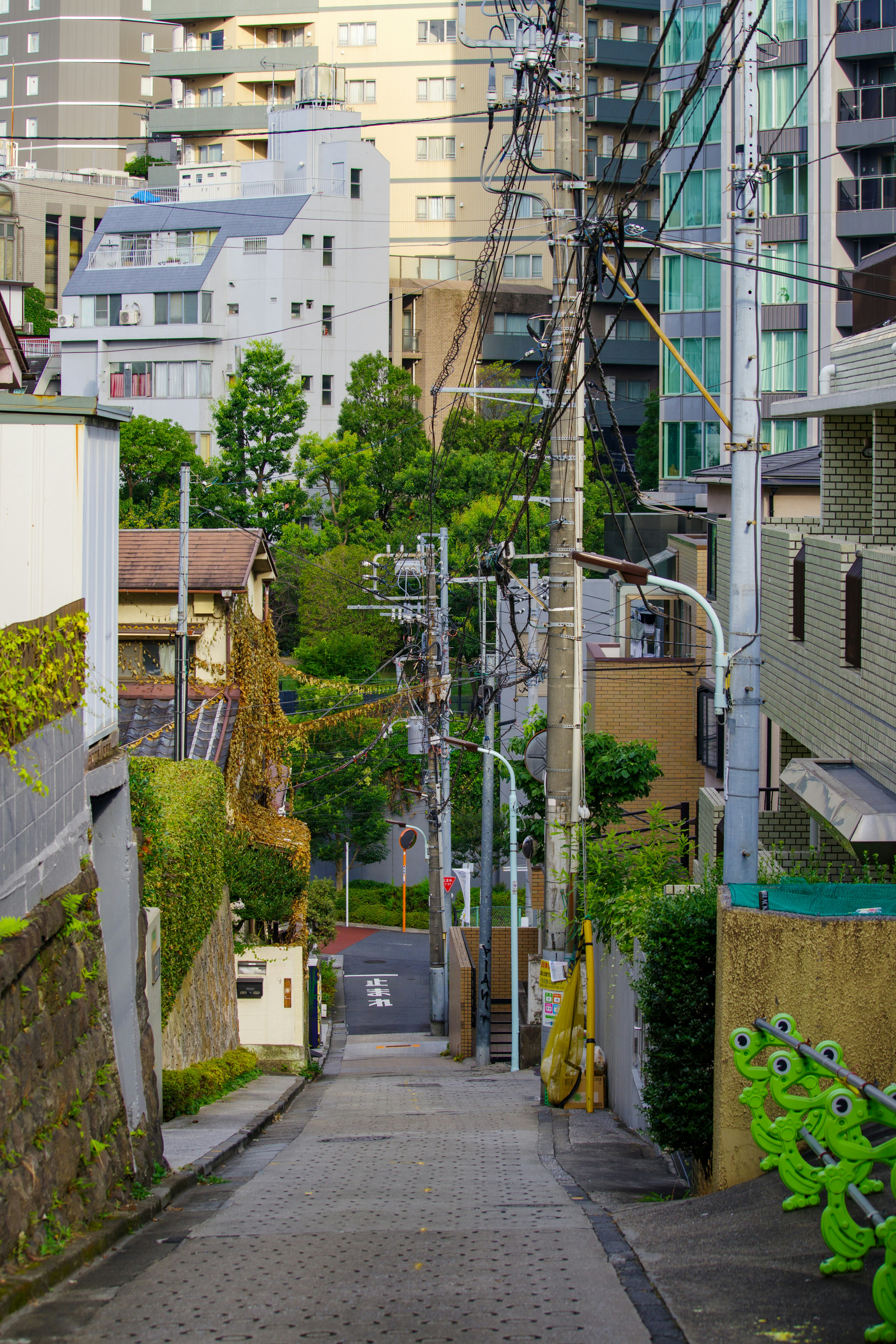 Strada in pendenza stretta in una zona residenziale verde con edifici alti