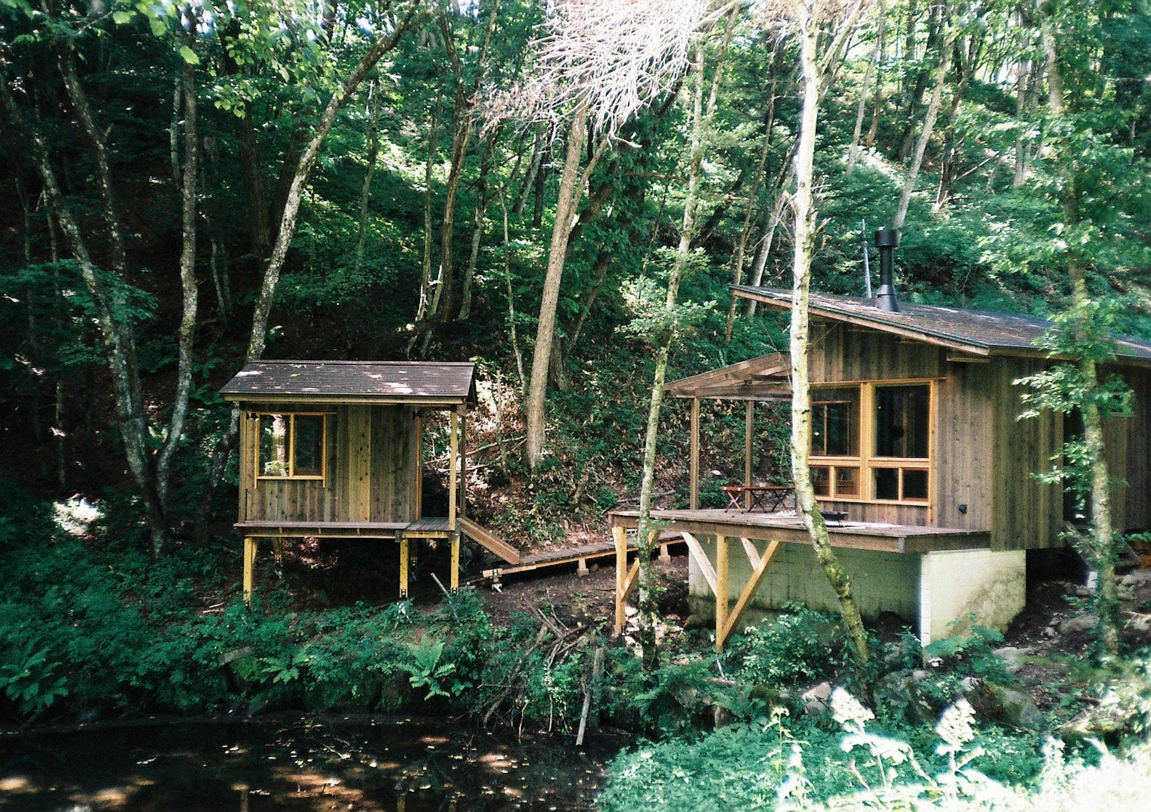 Dos cabañas de madera con una terraza en un área boscosa