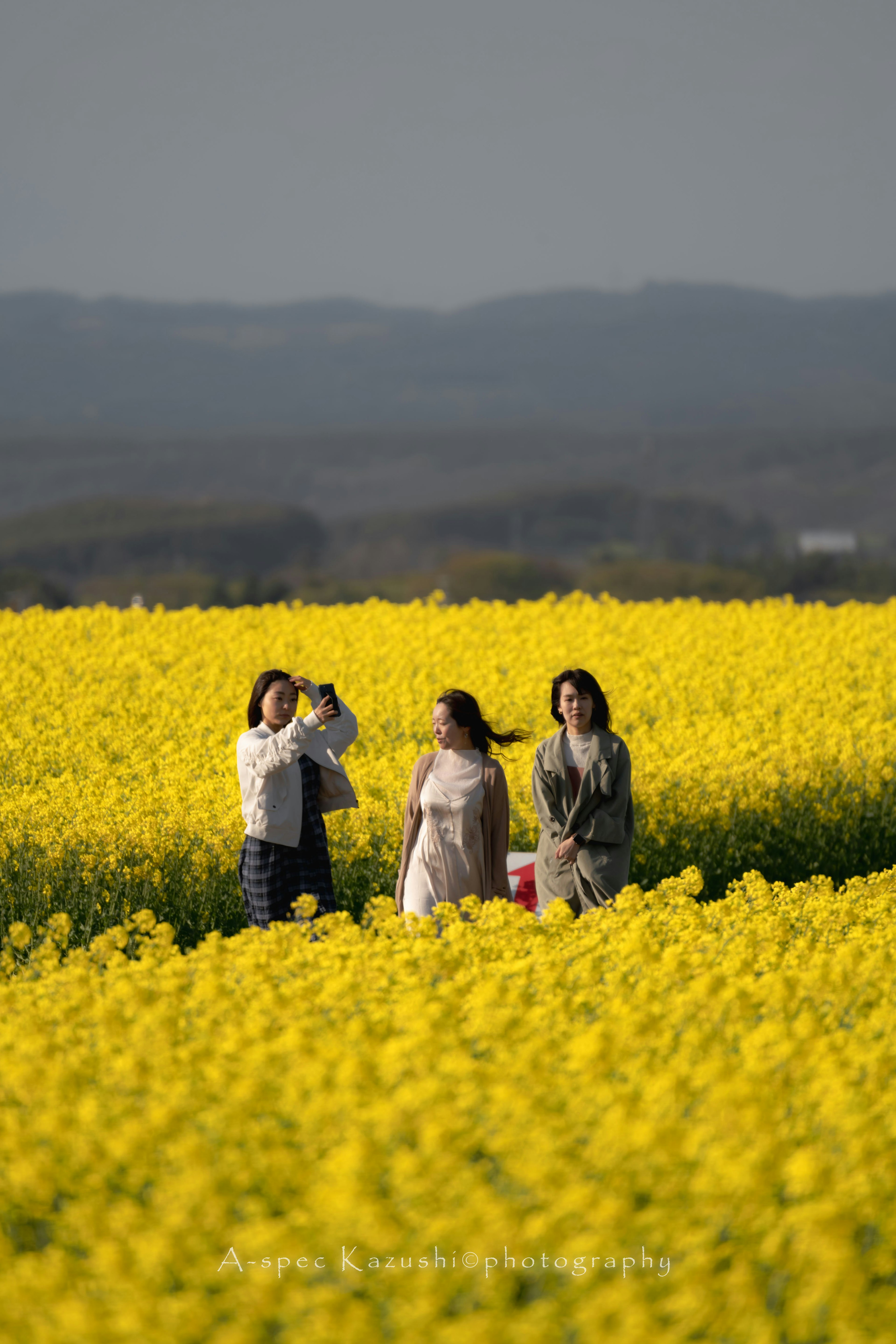 黄色い花畑の中にいる三人の女性