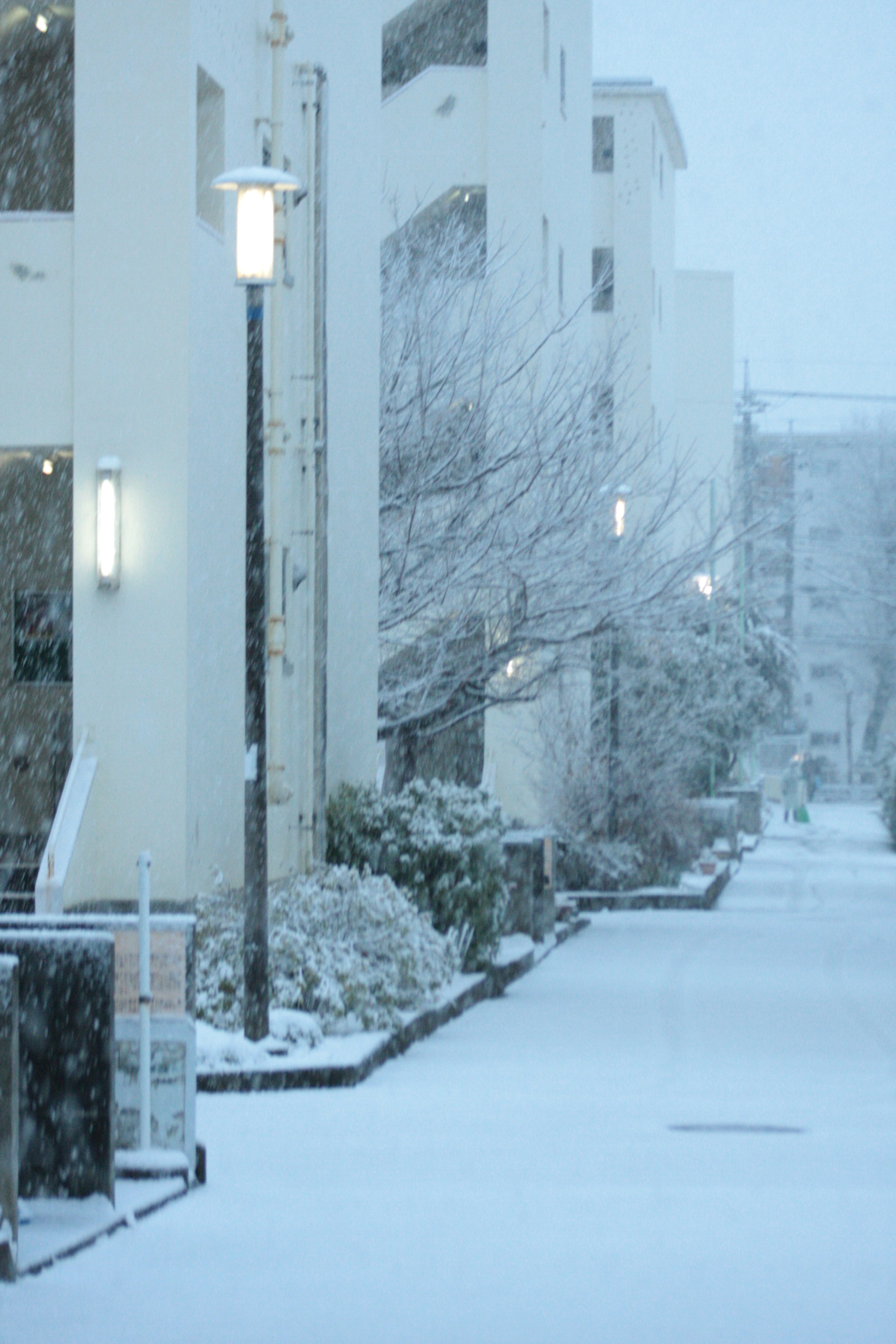 A quiet residential street scene with falling snow