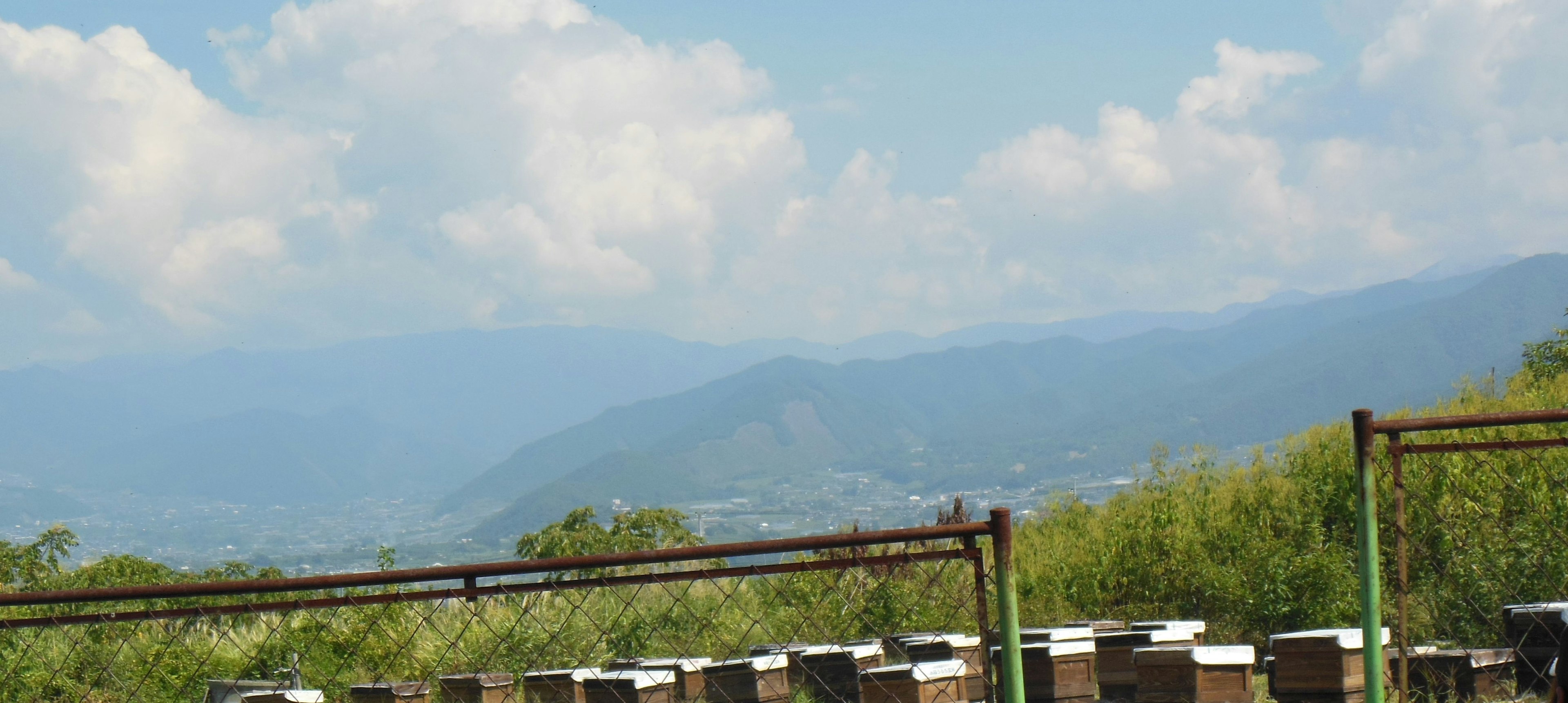 青空の下に広がる蜂箱と山々の風景