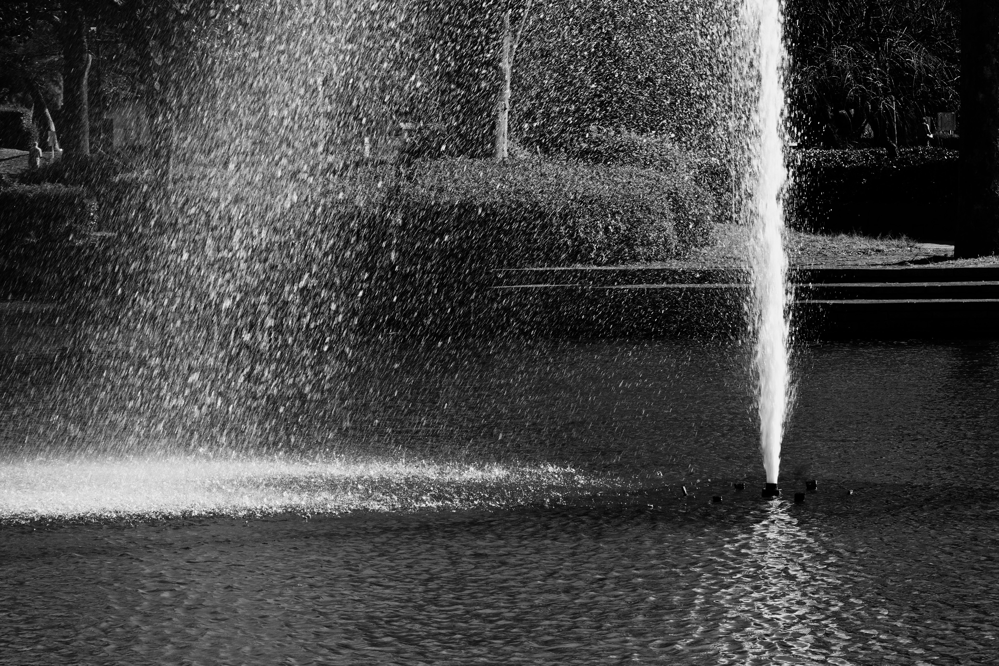 Fontaine en noir et blanc projetant de l'eau dans un étang