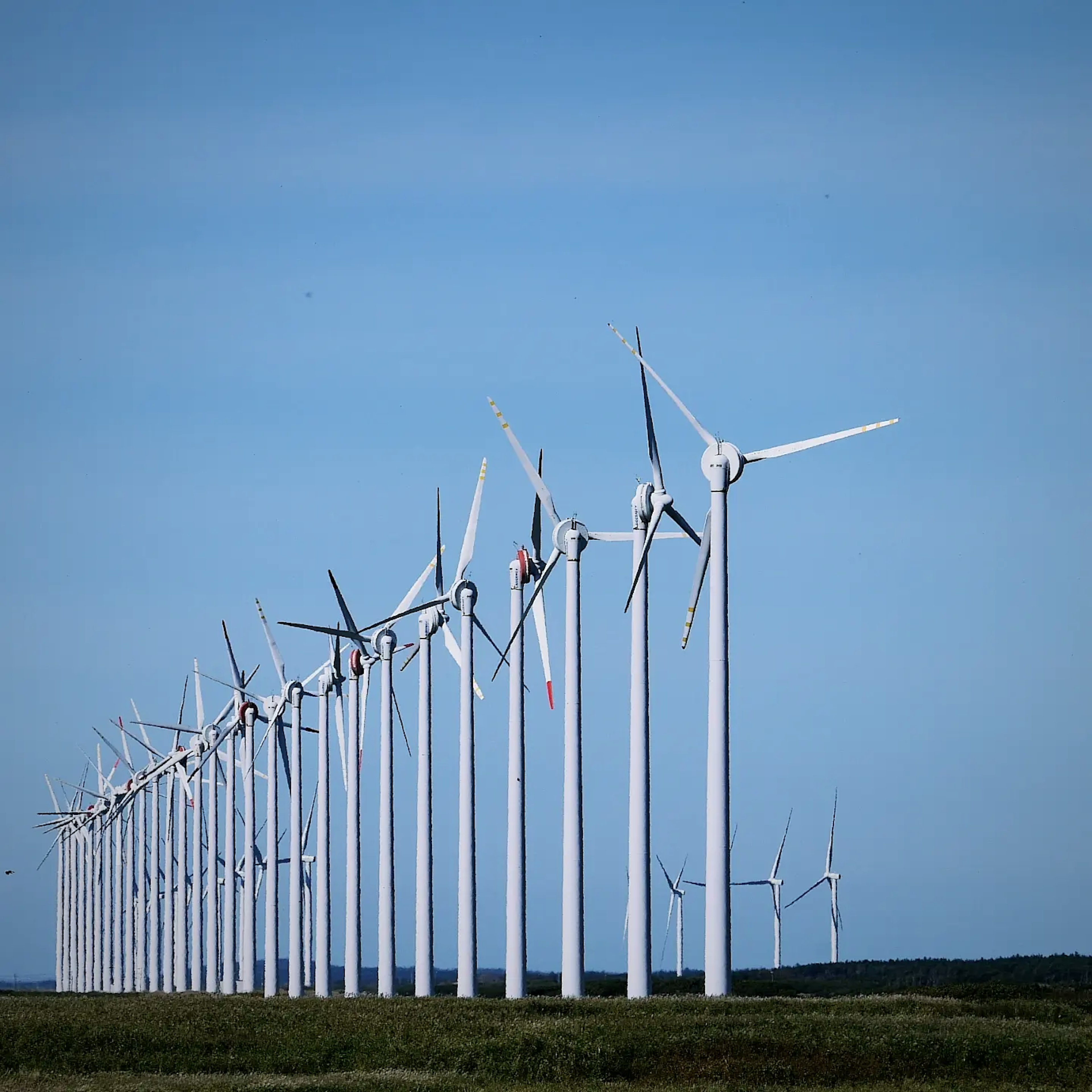 Rang de turbines éoliennes dans un parc éolien sous un ciel bleu clair et des herbes vertes