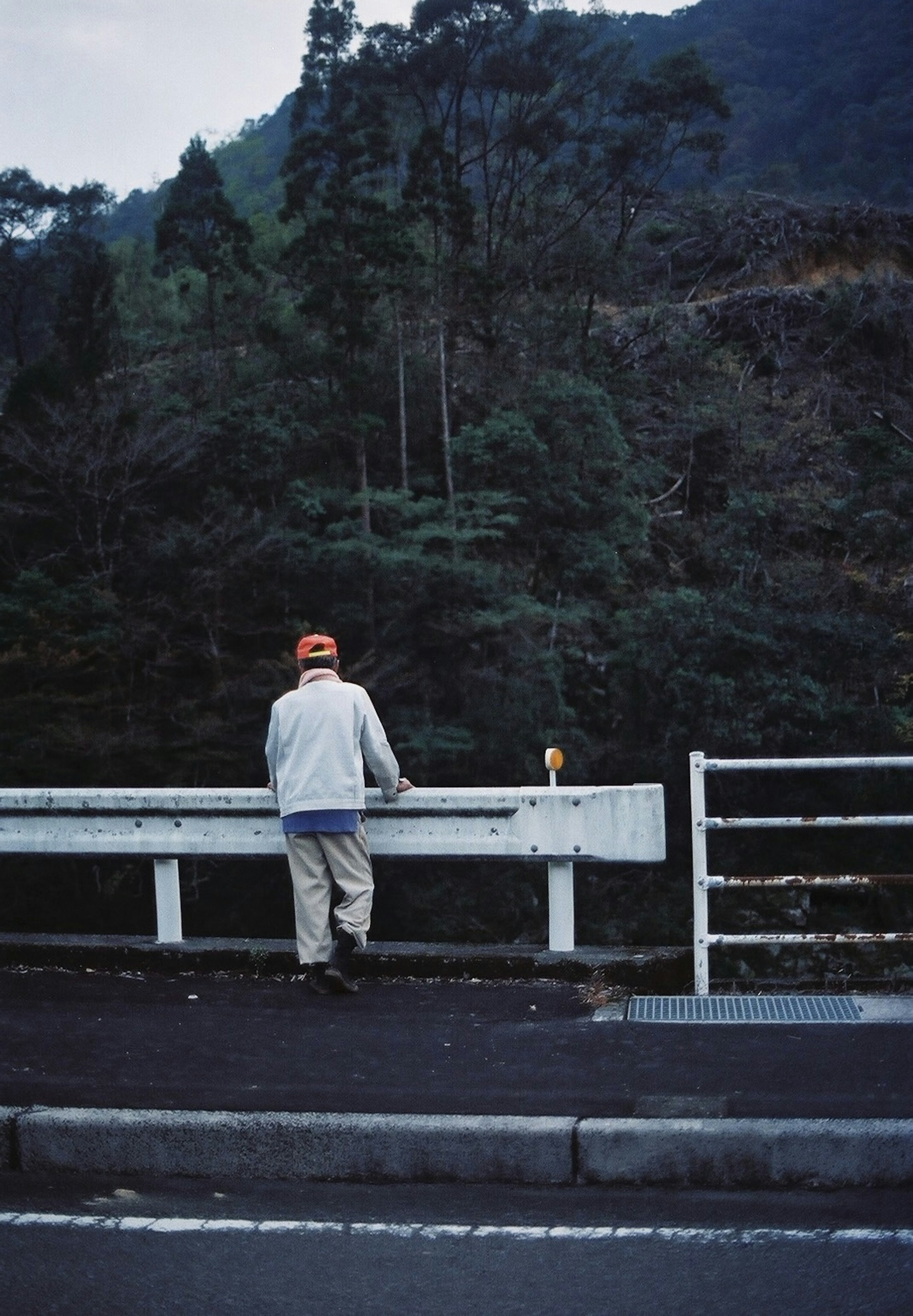 山を見つめる男性と緑豊かな風景