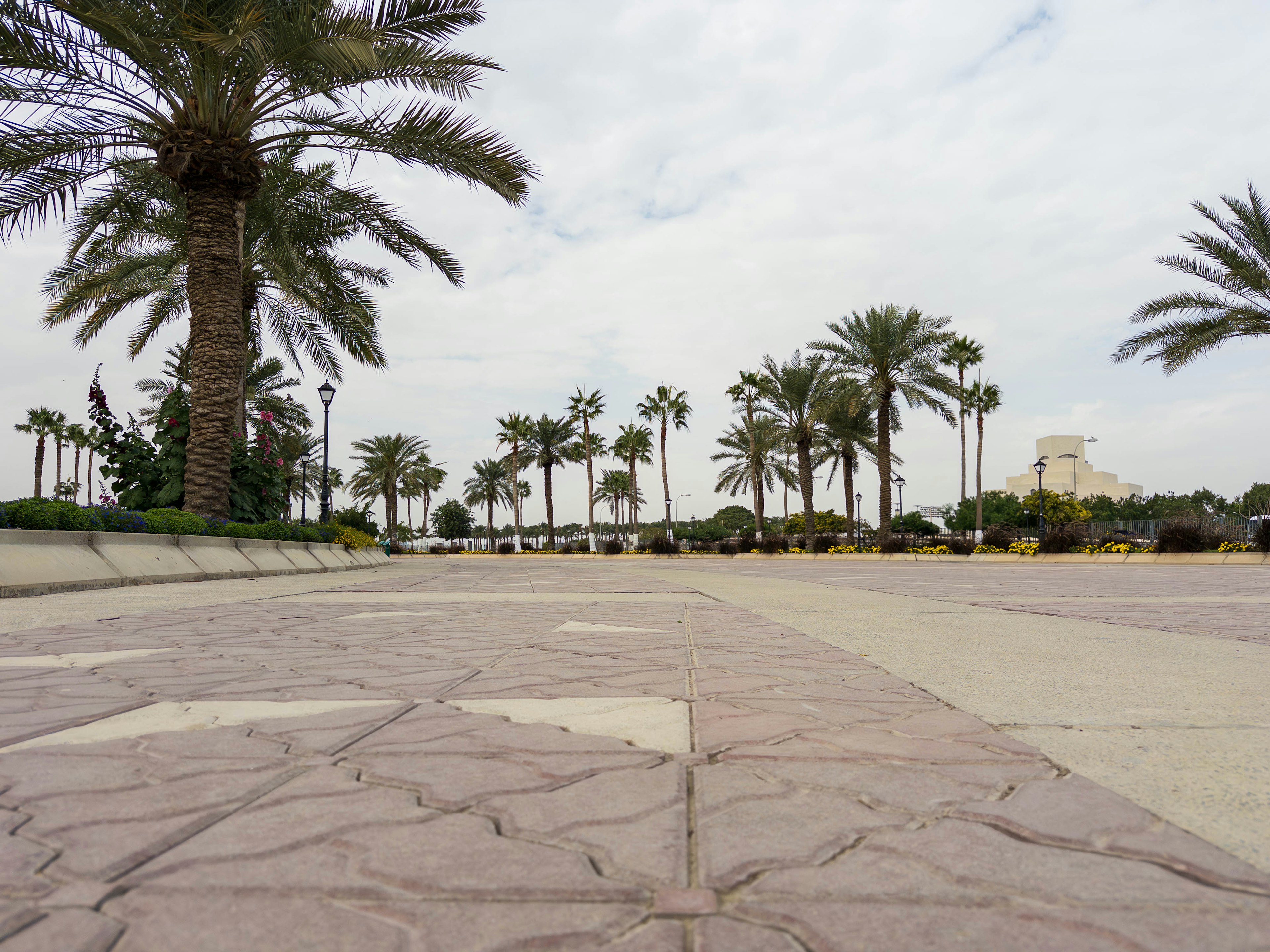 Paved plaza with palm trees lining the walkway