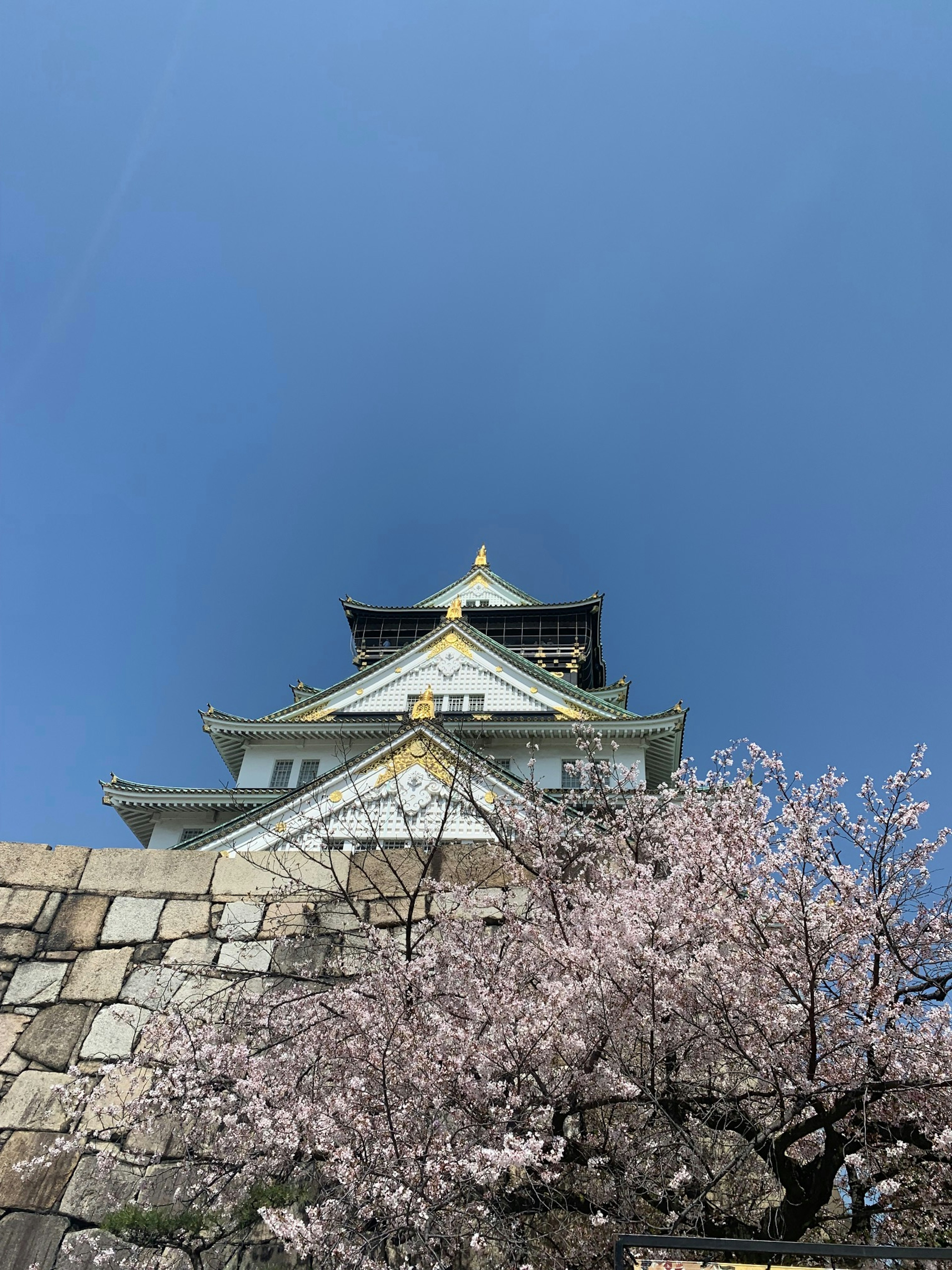 Beautiful view of Osaka Castle with cherry blossoms under a clear blue sky