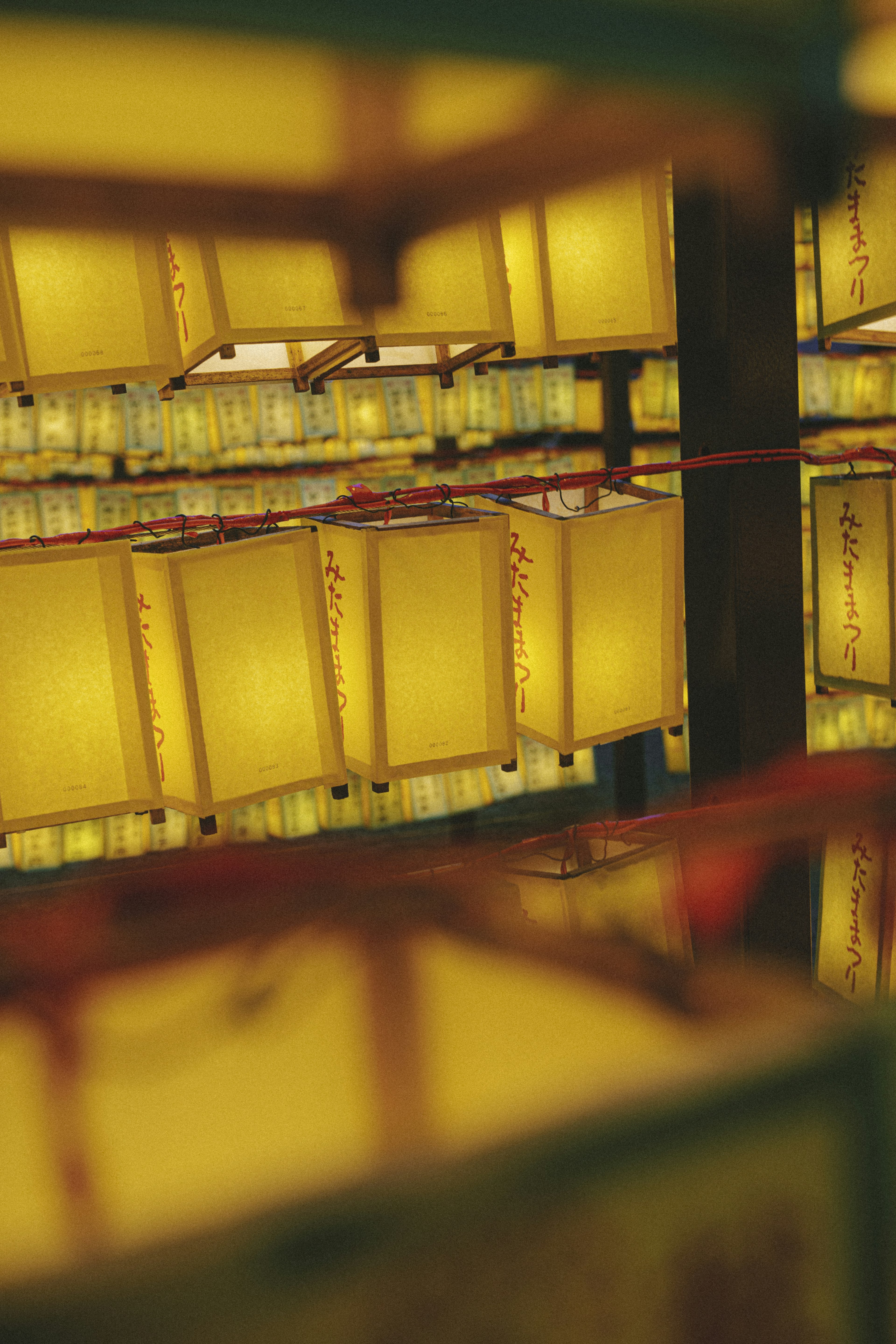 Reflection of yellow lanterns arranged in a scene