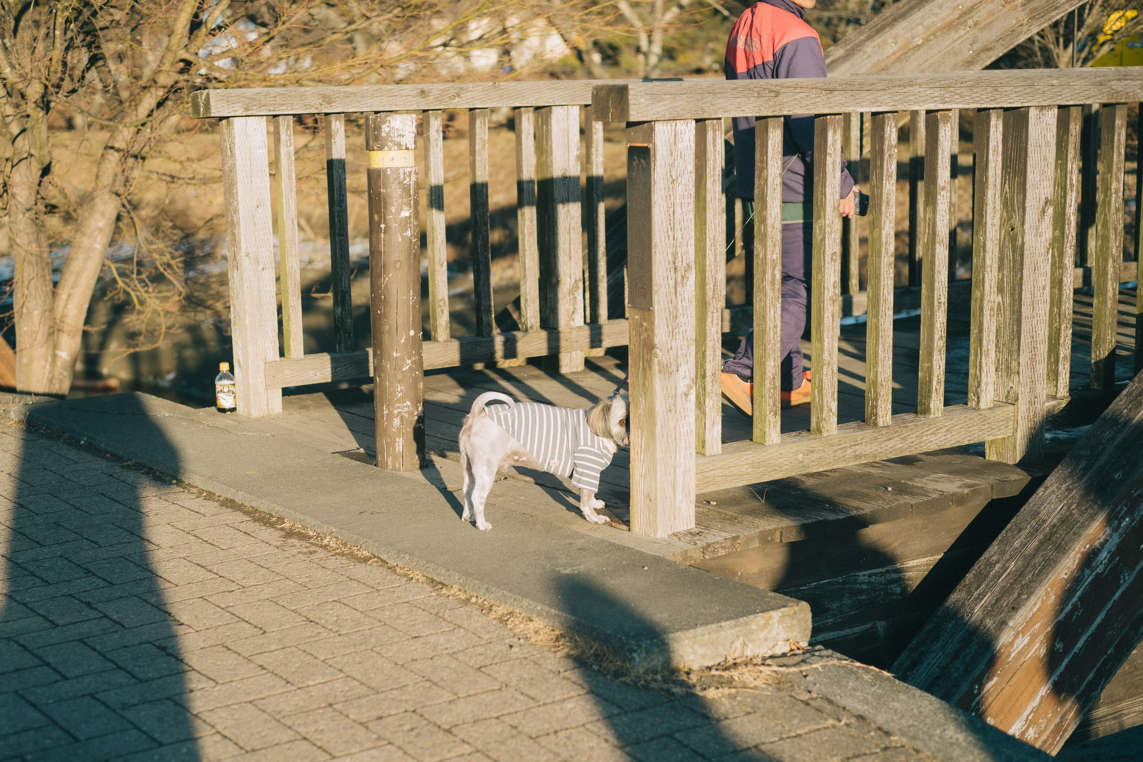 犬が遊具の近くで歩いている風景