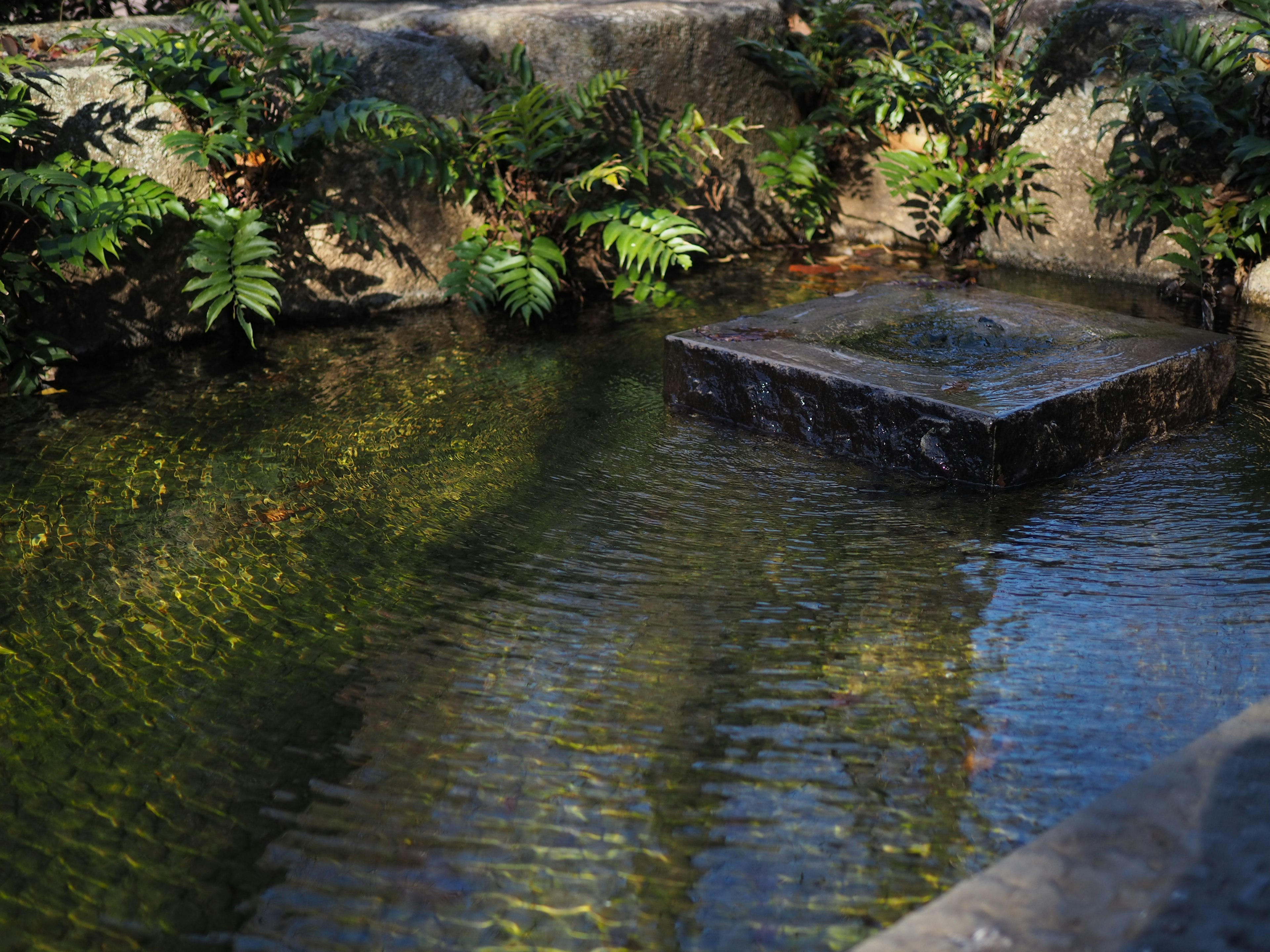 静かな池に浮かぶ石のプラットフォームと周囲の緑のシダ