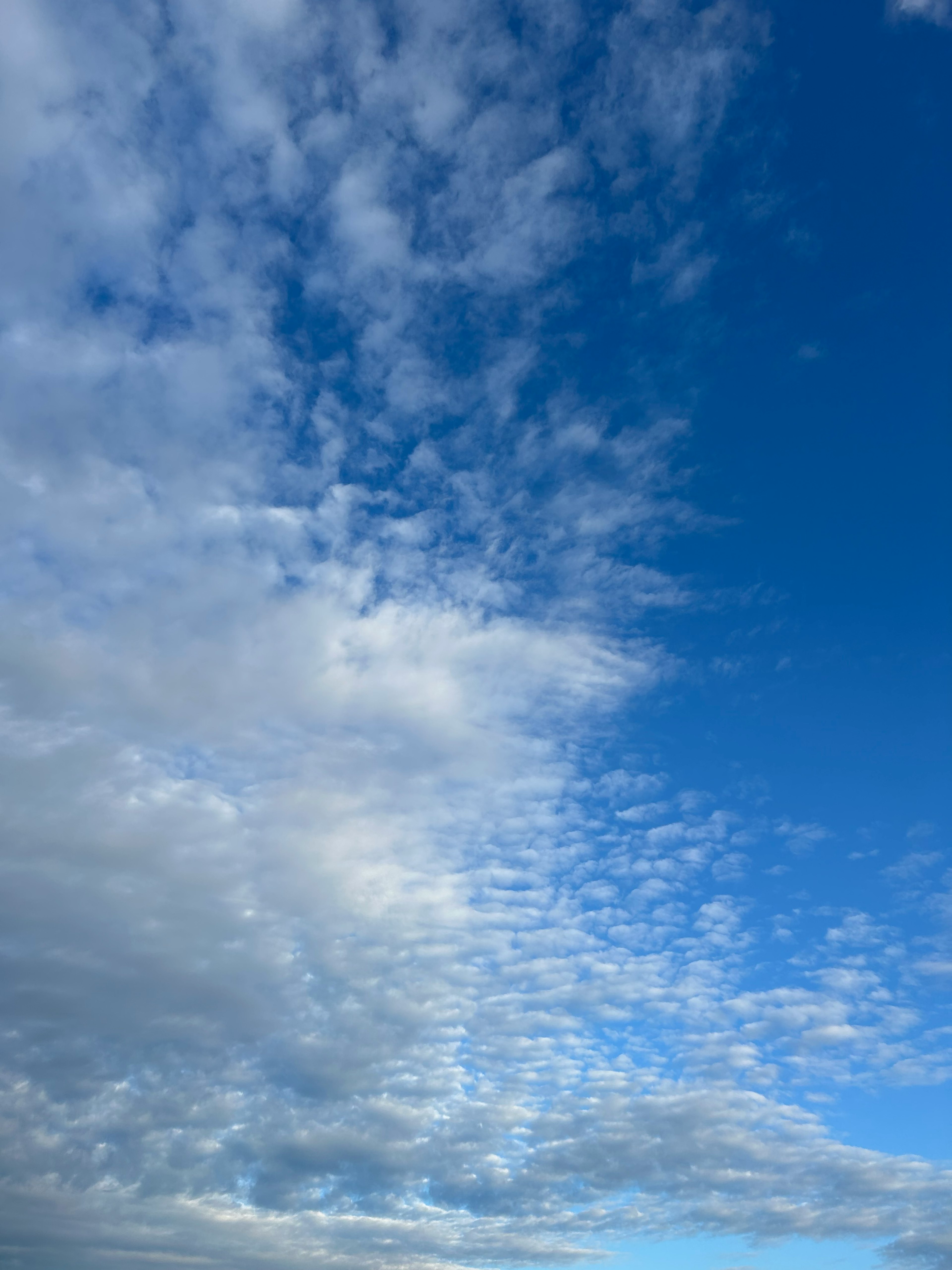 Beautiful landscape with blue sky and clouds