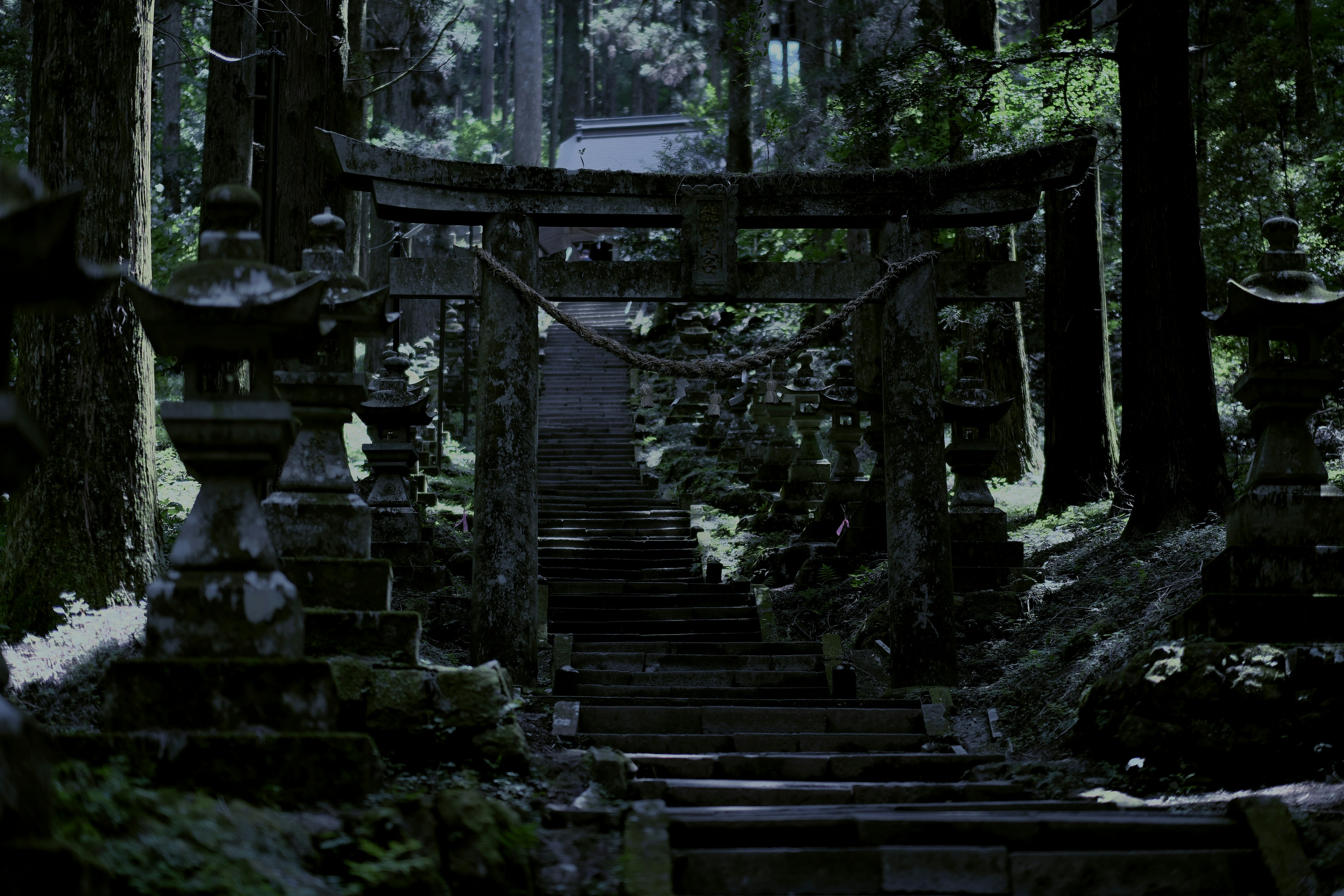 Ancient shrine steps and torii gate in a dark forest