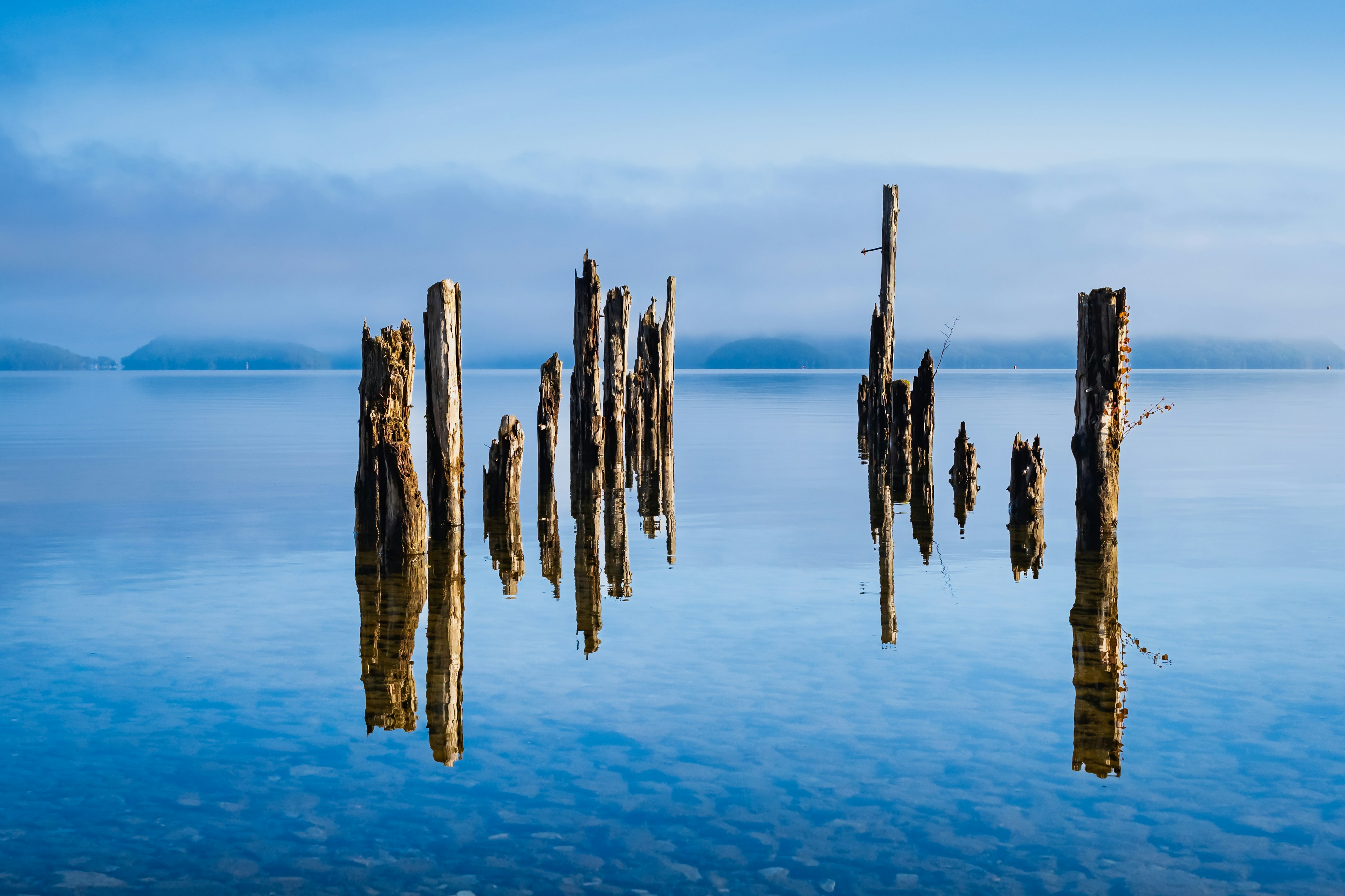 Scenic view of weathered wooden posts reflecting on water