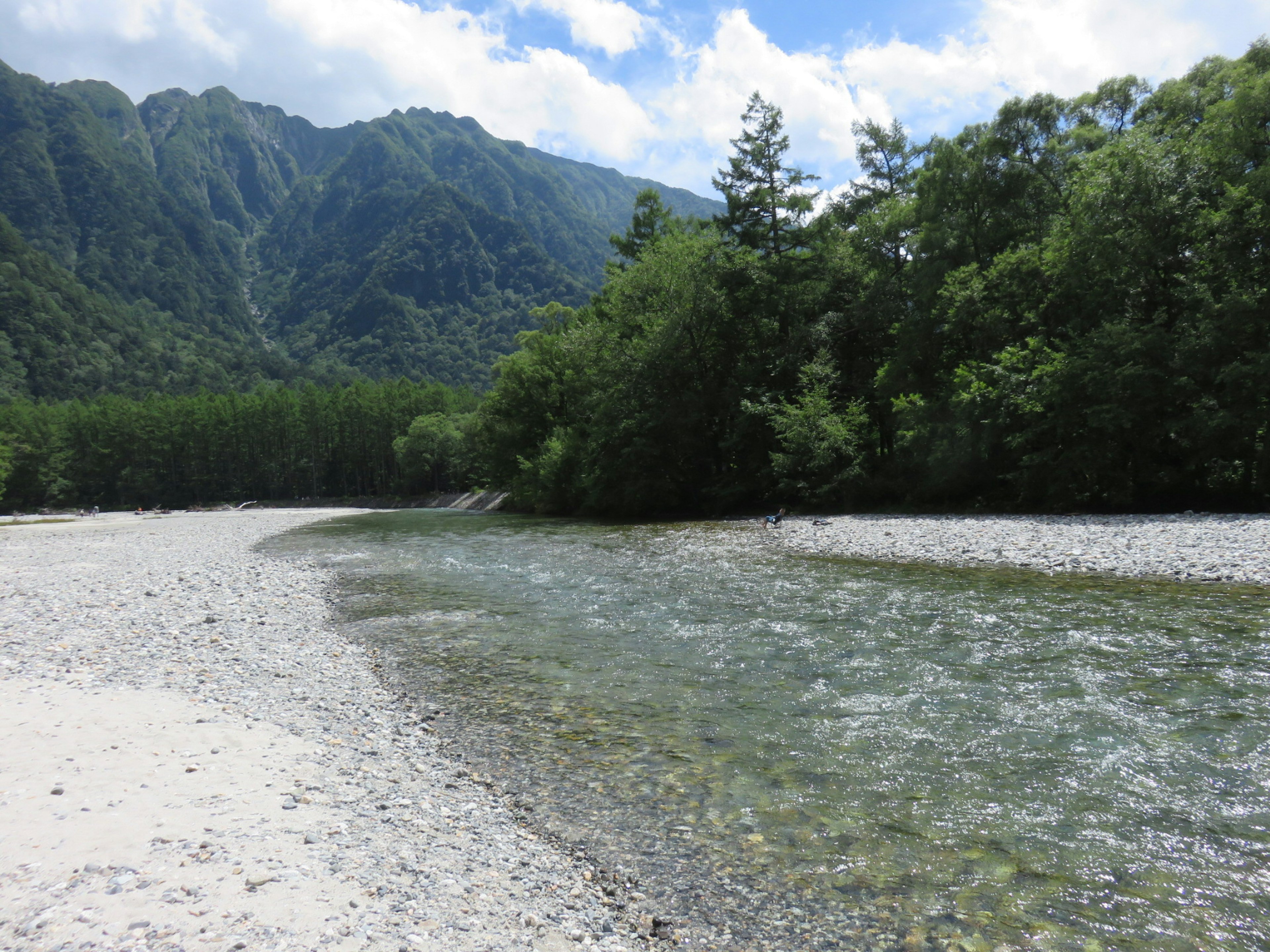 美しい山々と緑の木々に囲まれた川の風景