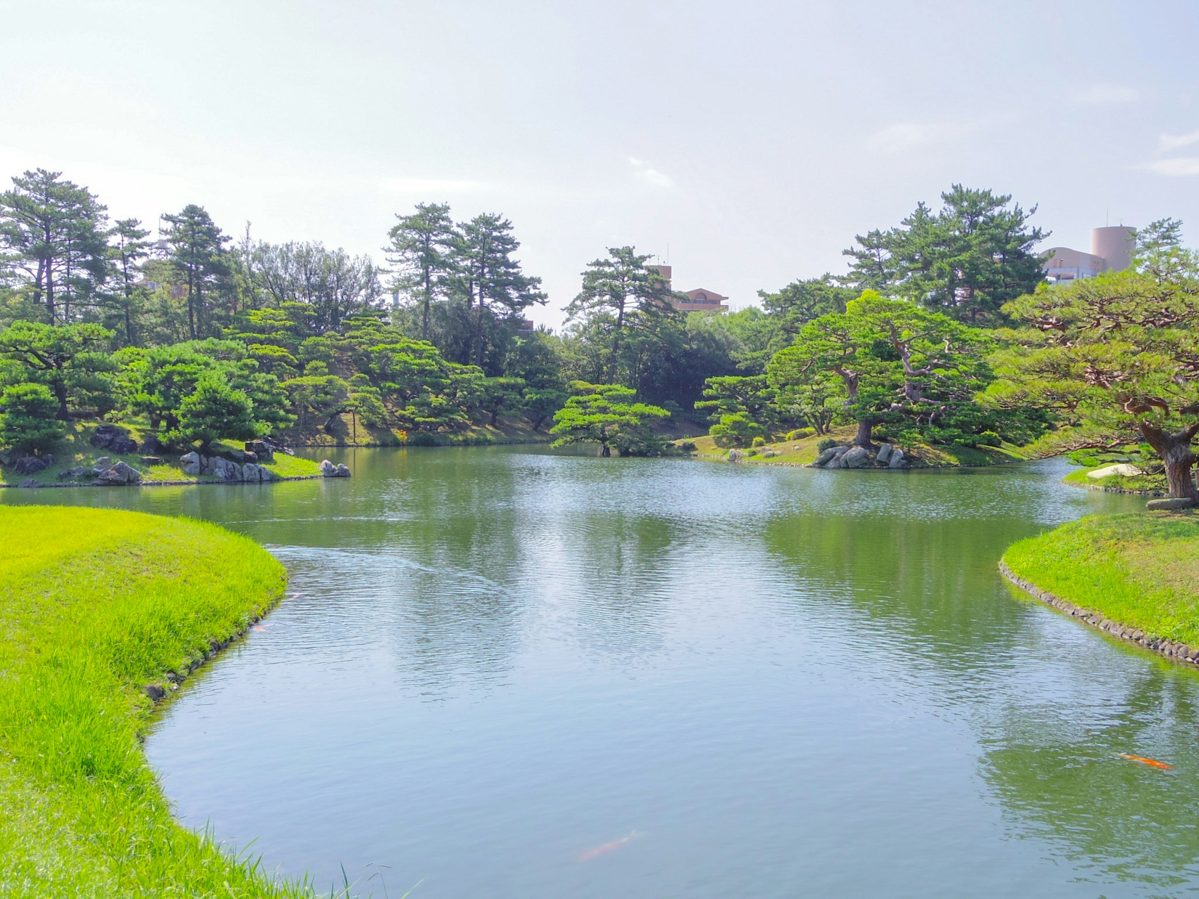 Kolam tenang dikelilingi oleh vegetasi subur di taman Jepang