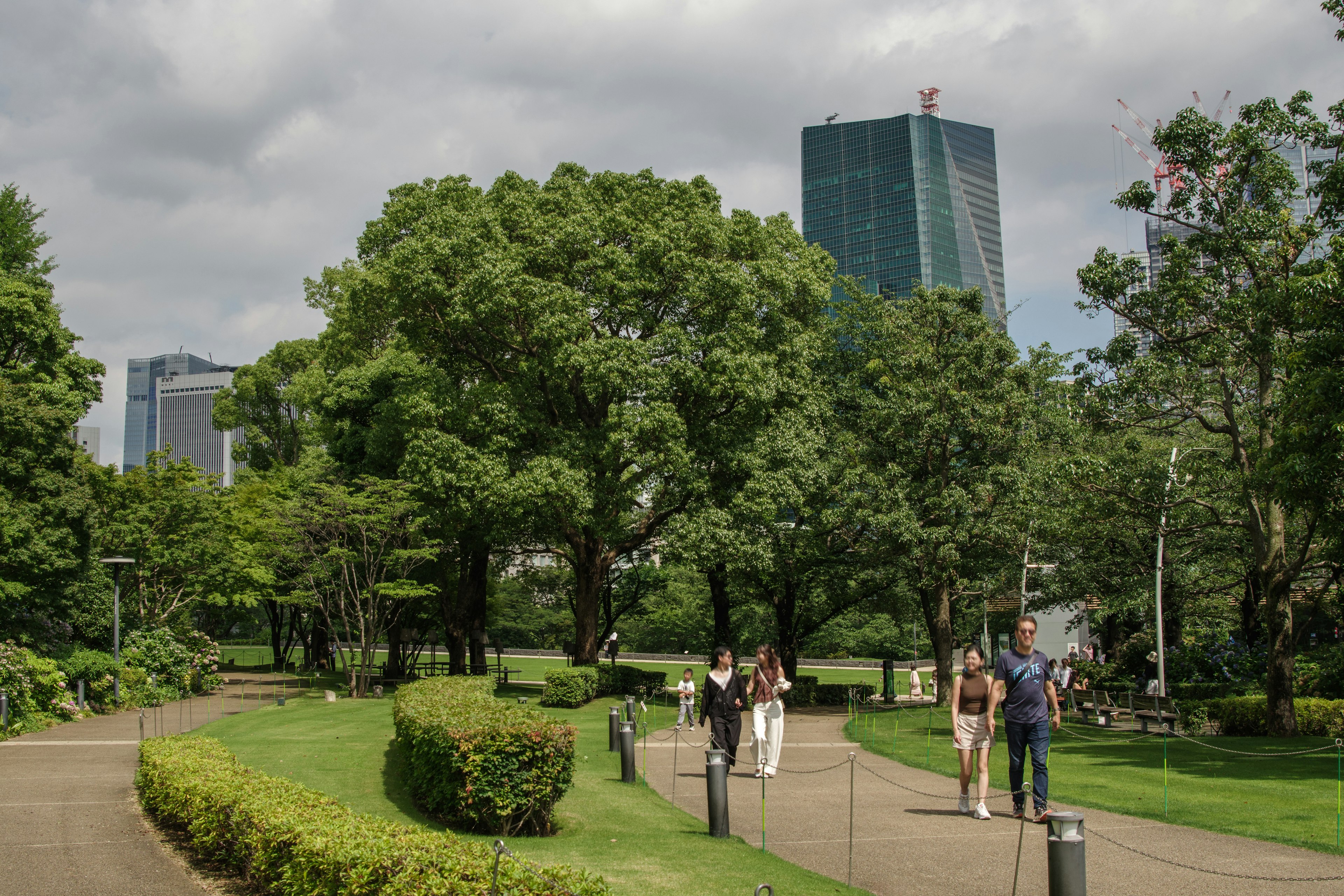 人們在被茂密樹木環繞的公園小徑上散步