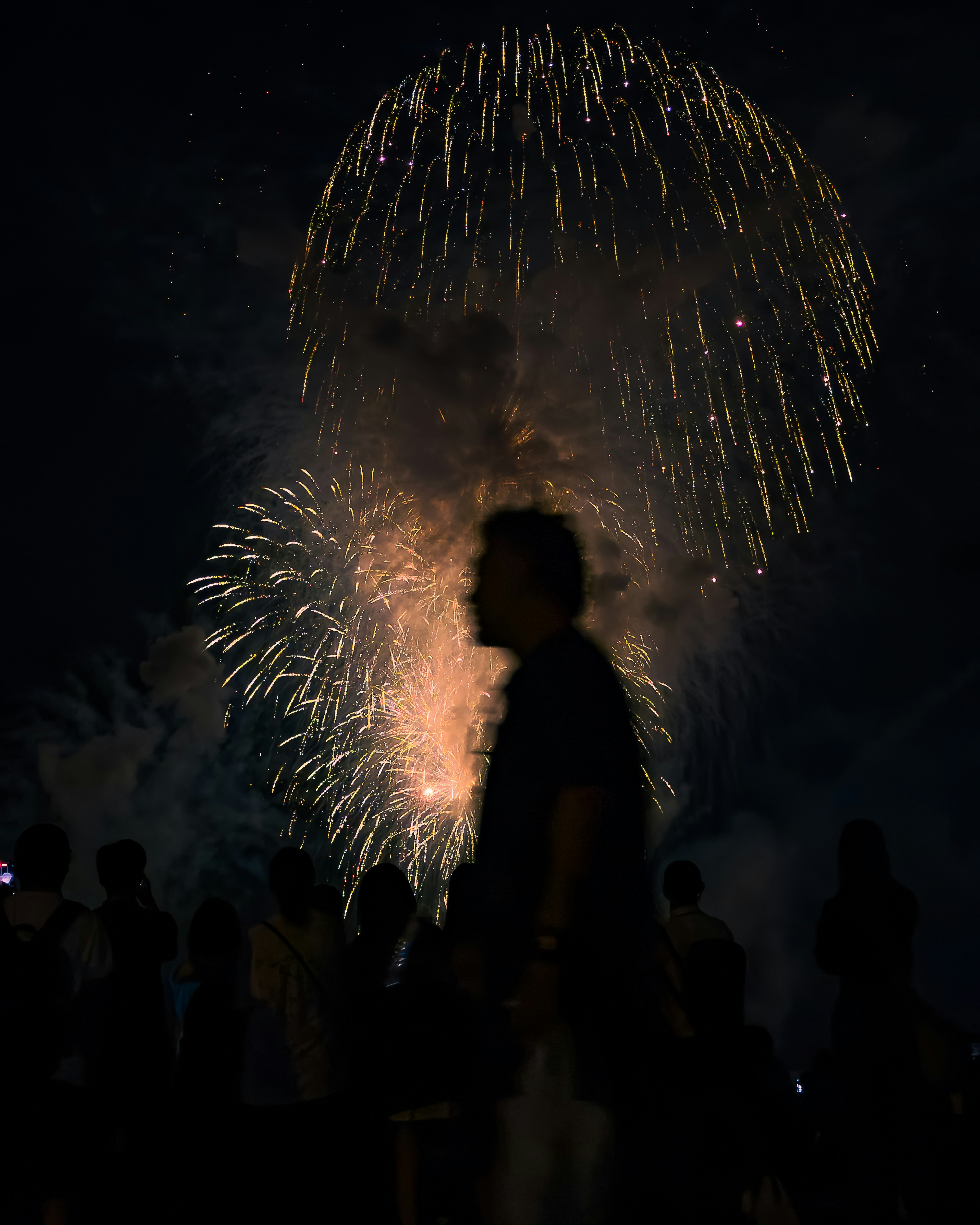 夜空に打ち上げられた花火の背後に silhouetted 人々