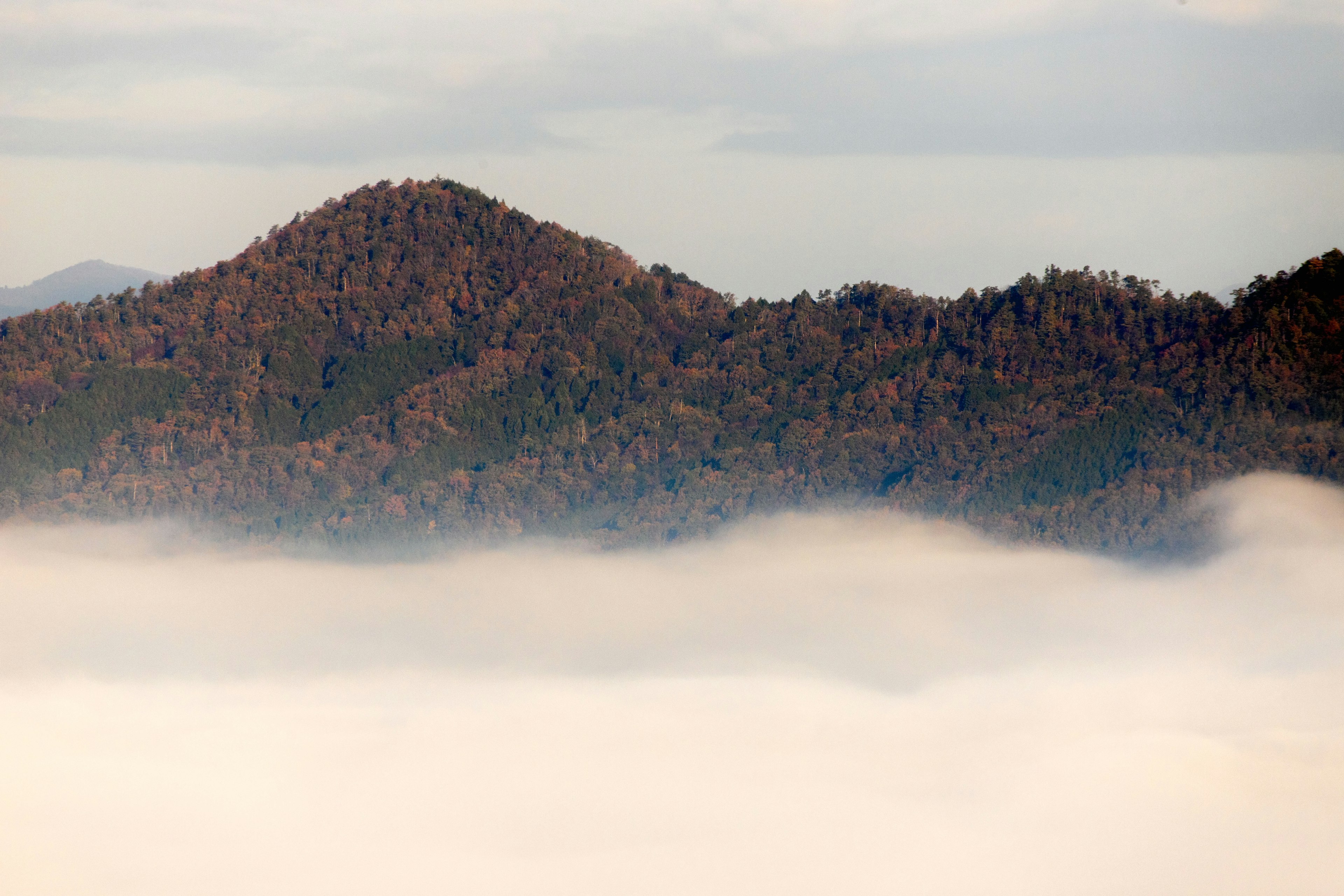 Pemandangan pegunungan di atas lautan awan dengan pohon-pohon berwarna