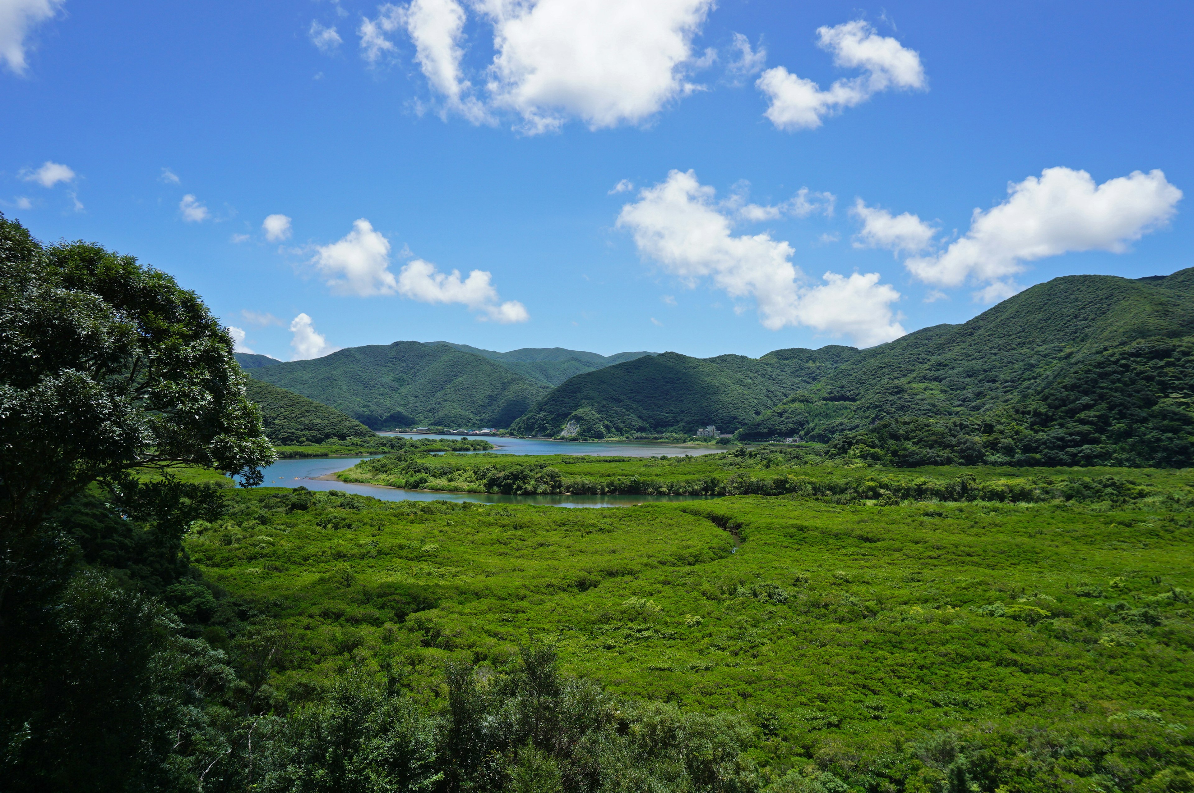 Paisaje verde con un río sinuoso bajo un cielo azul y nubes blancas