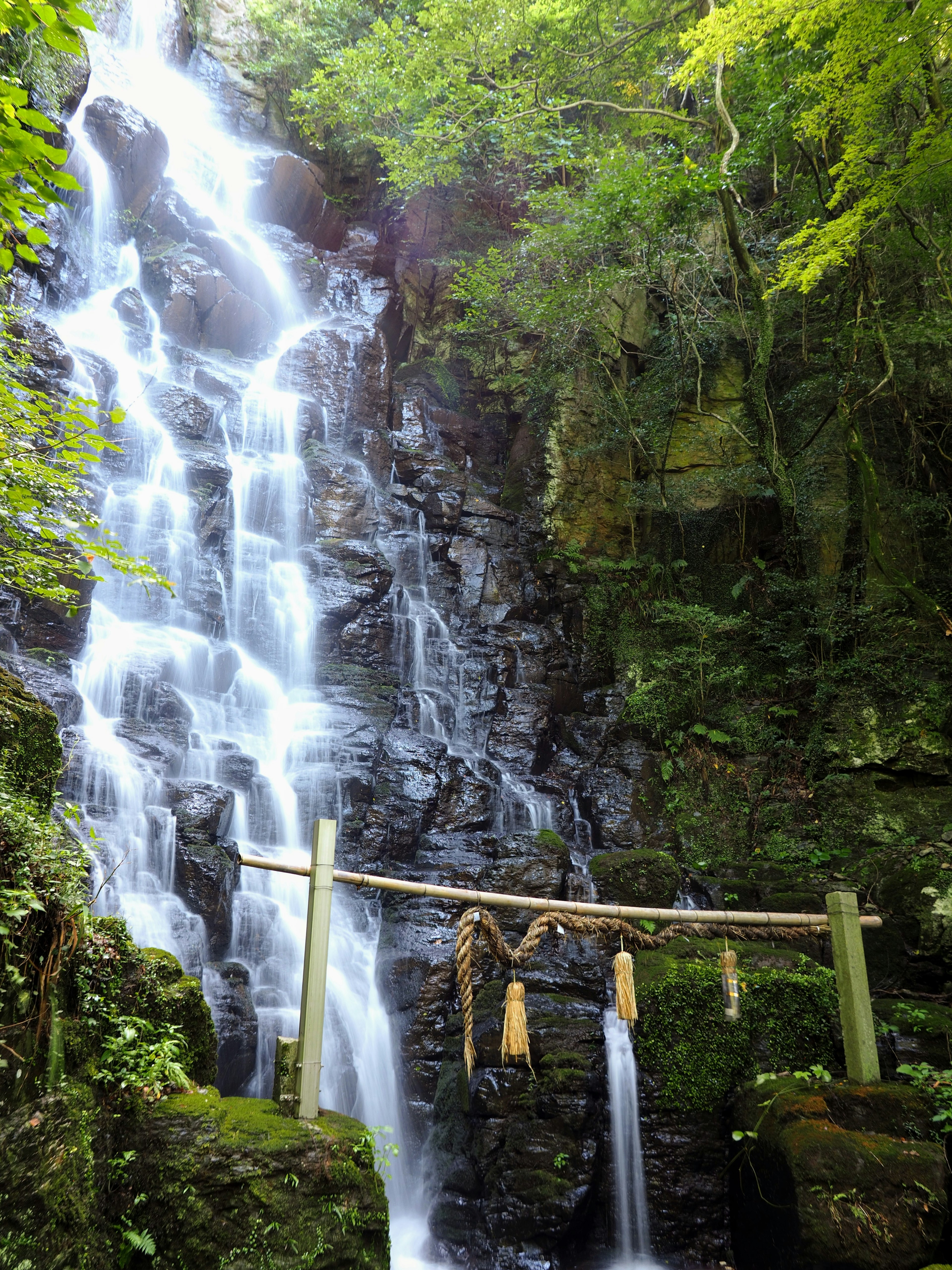 Una cascada rodeada de vegetación exuberante y una puerta torii sagrada