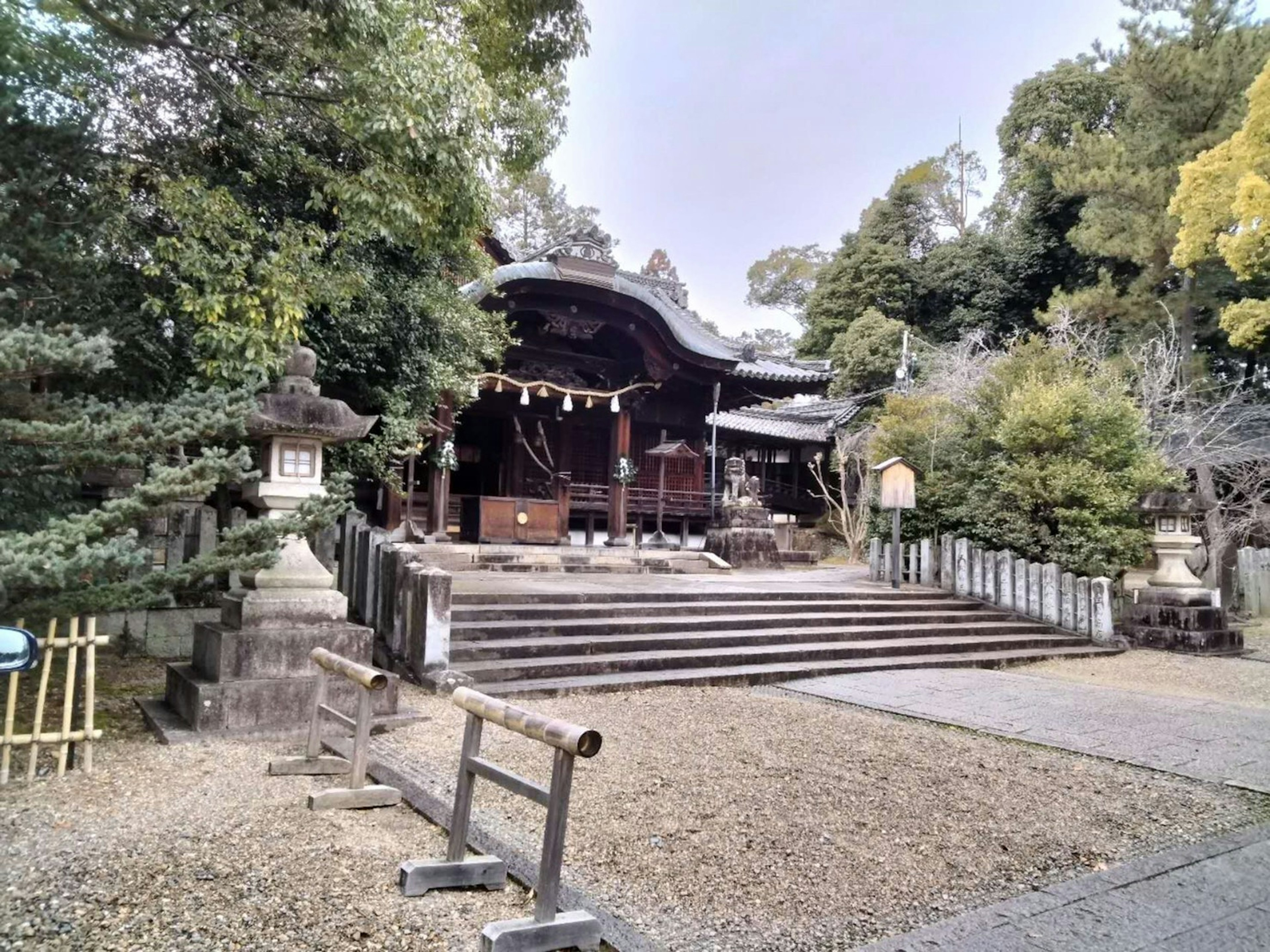 Serene view of a shrine entrance with steps surrounded by lush greenery