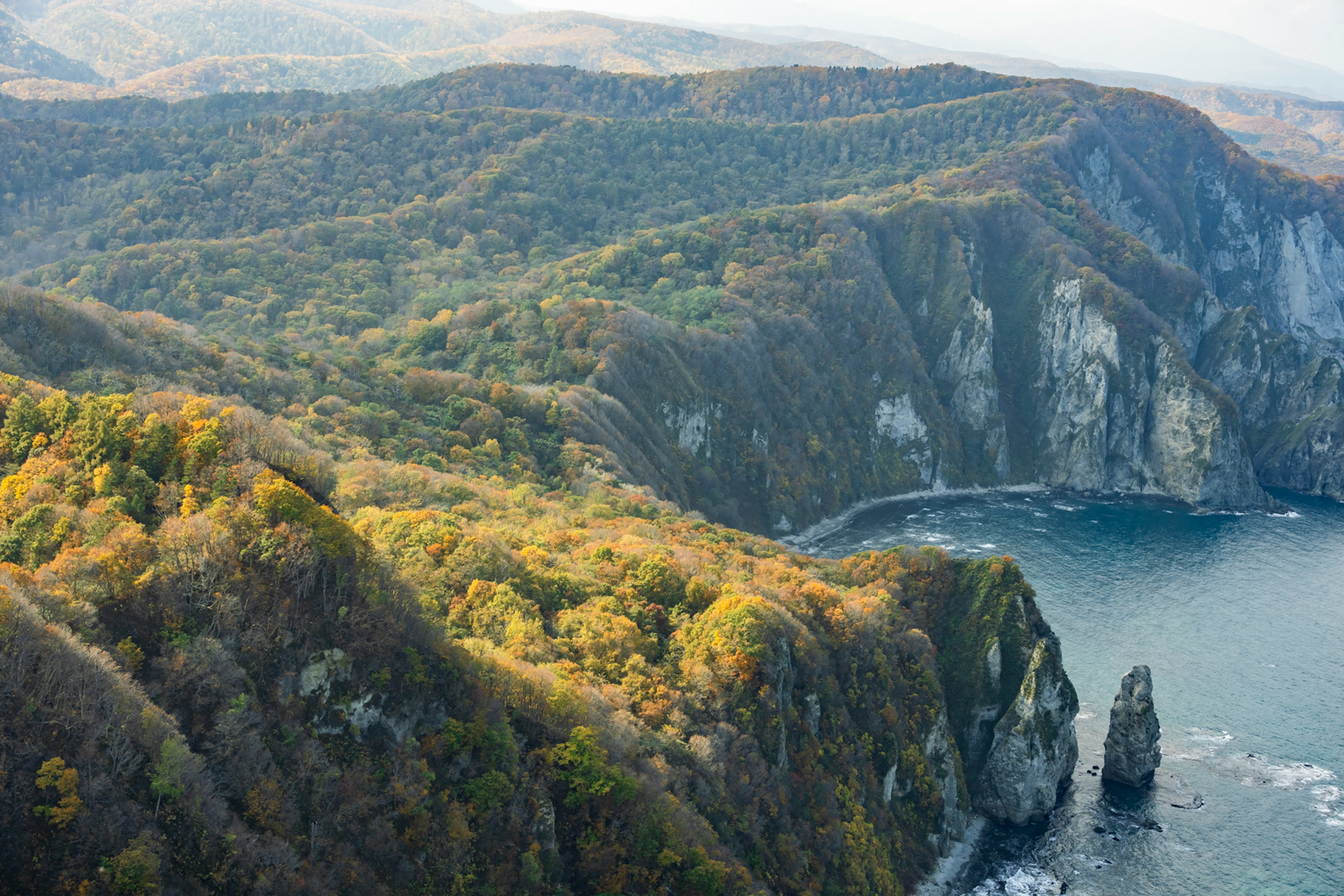 Luftaufnahme von schönen Bergen und Meer mit einer Mischung aus Grün und Herbstfarben