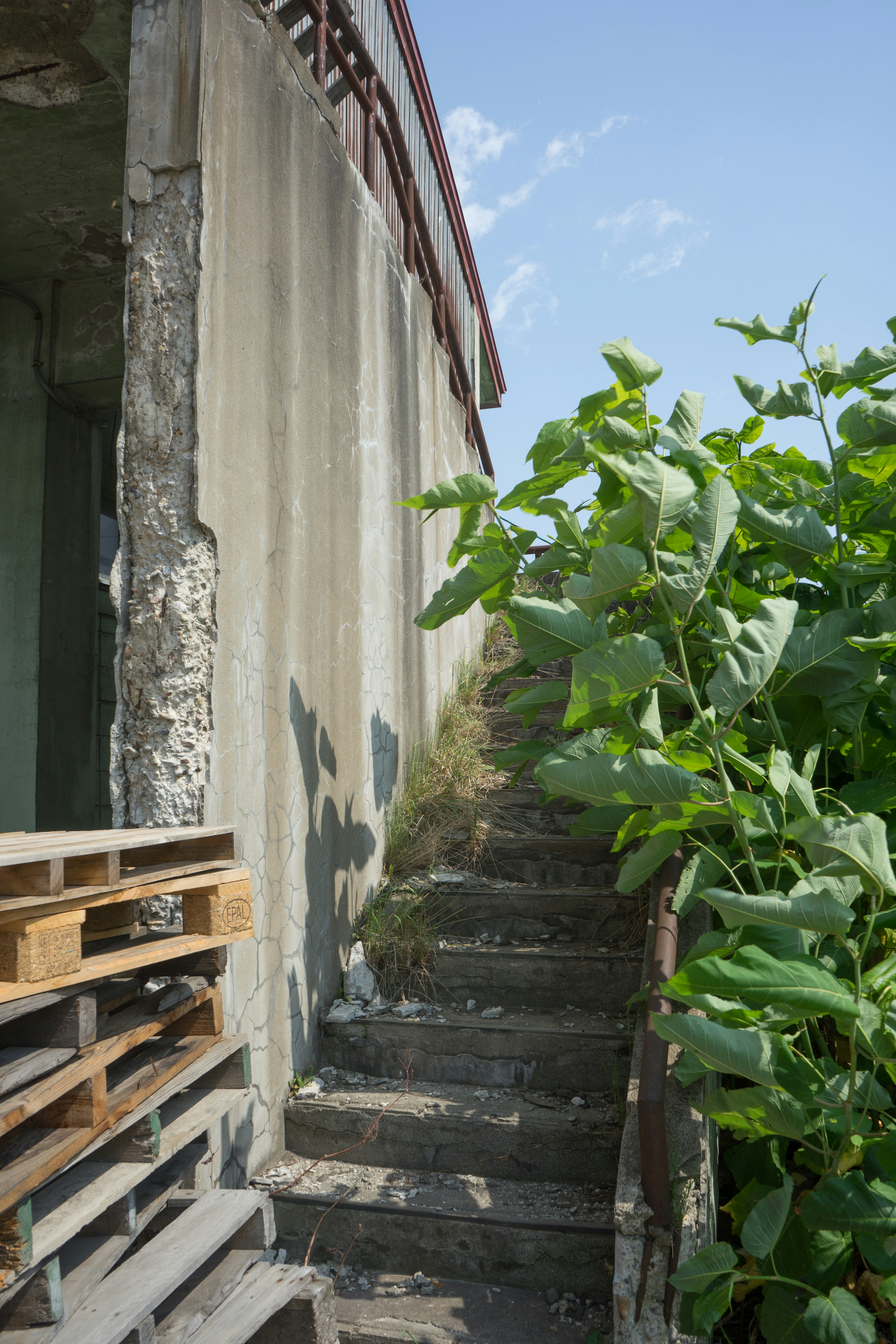 Stairs beside an old building with greenery