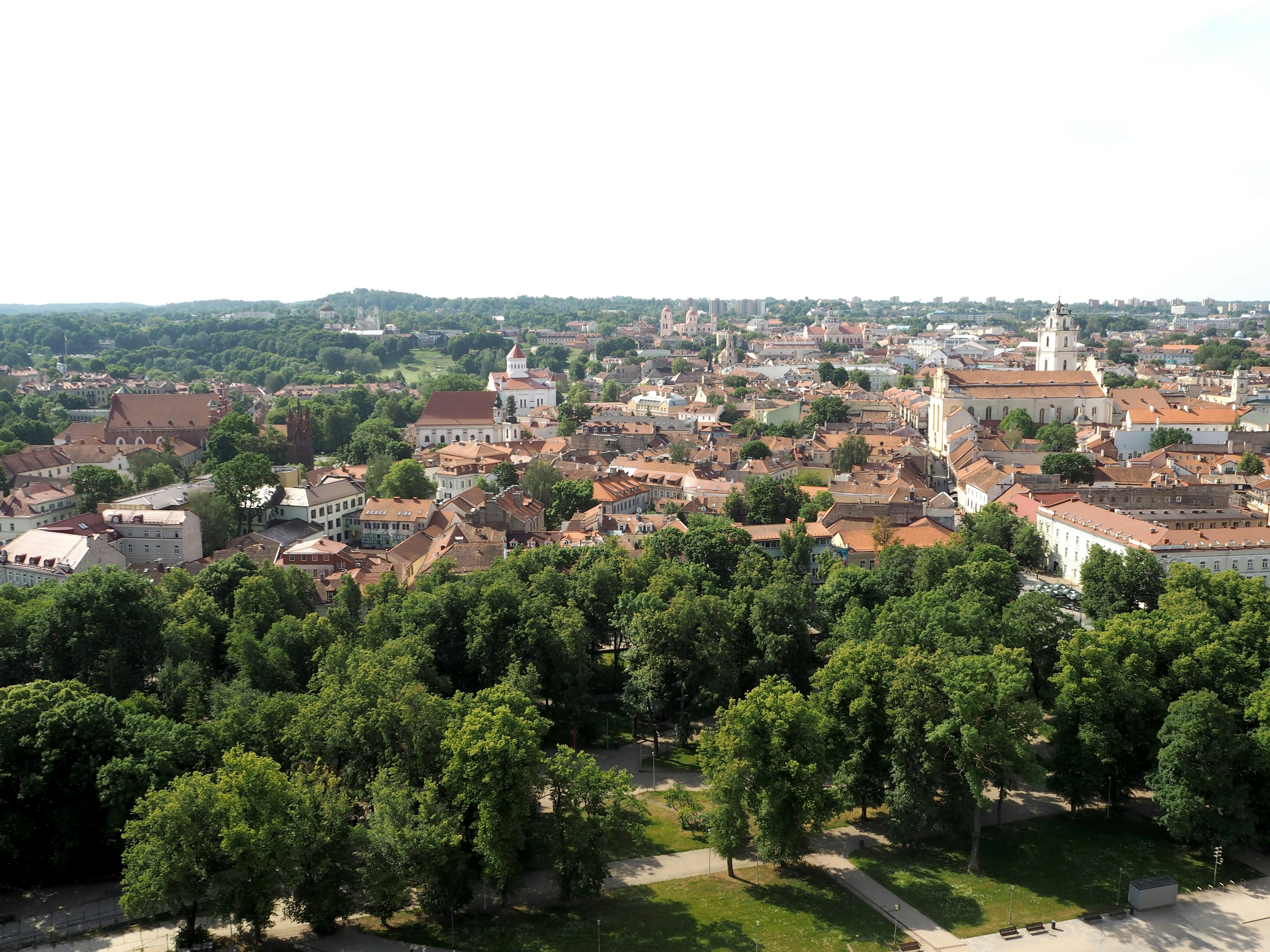 Une vue panoramique d'une ville avec une verdure luxuriante et des bâtiments historiques