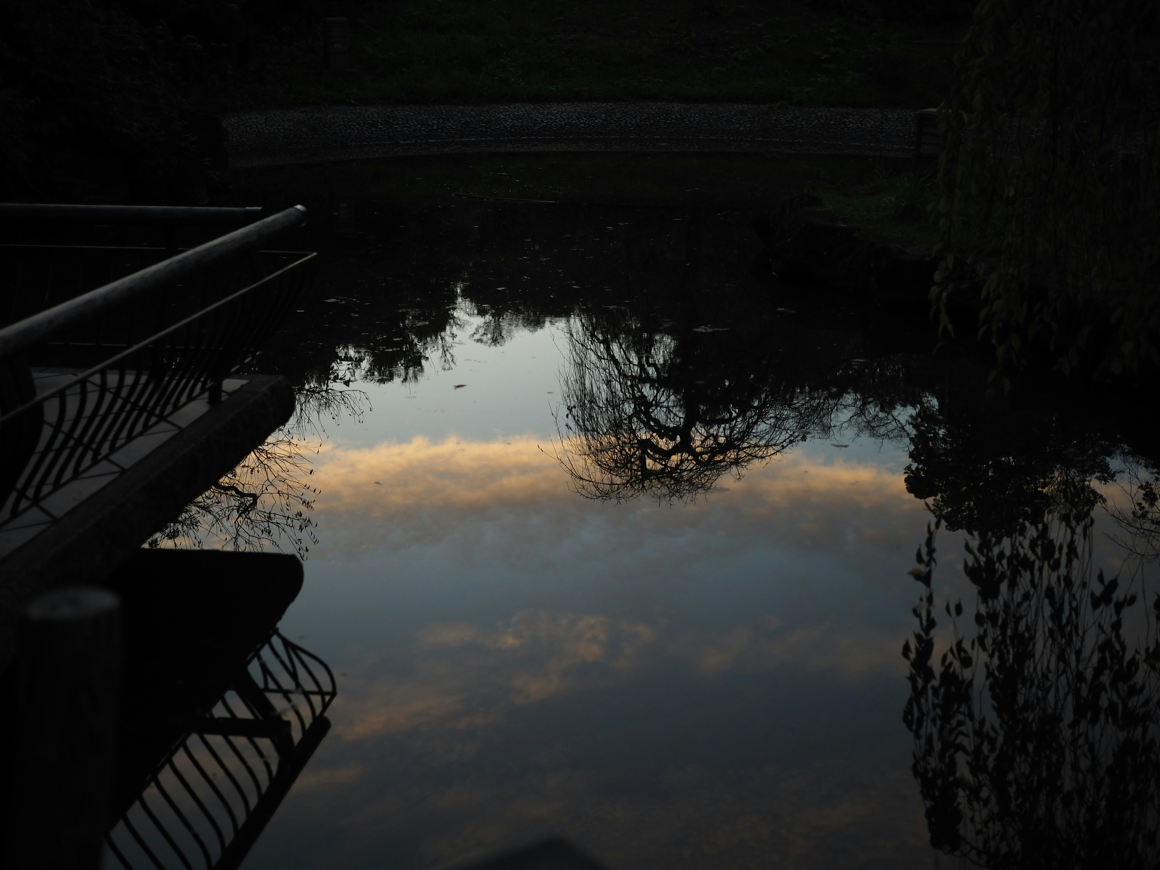 Calm landscape with clouds and tree silhouettes reflected on the water surface