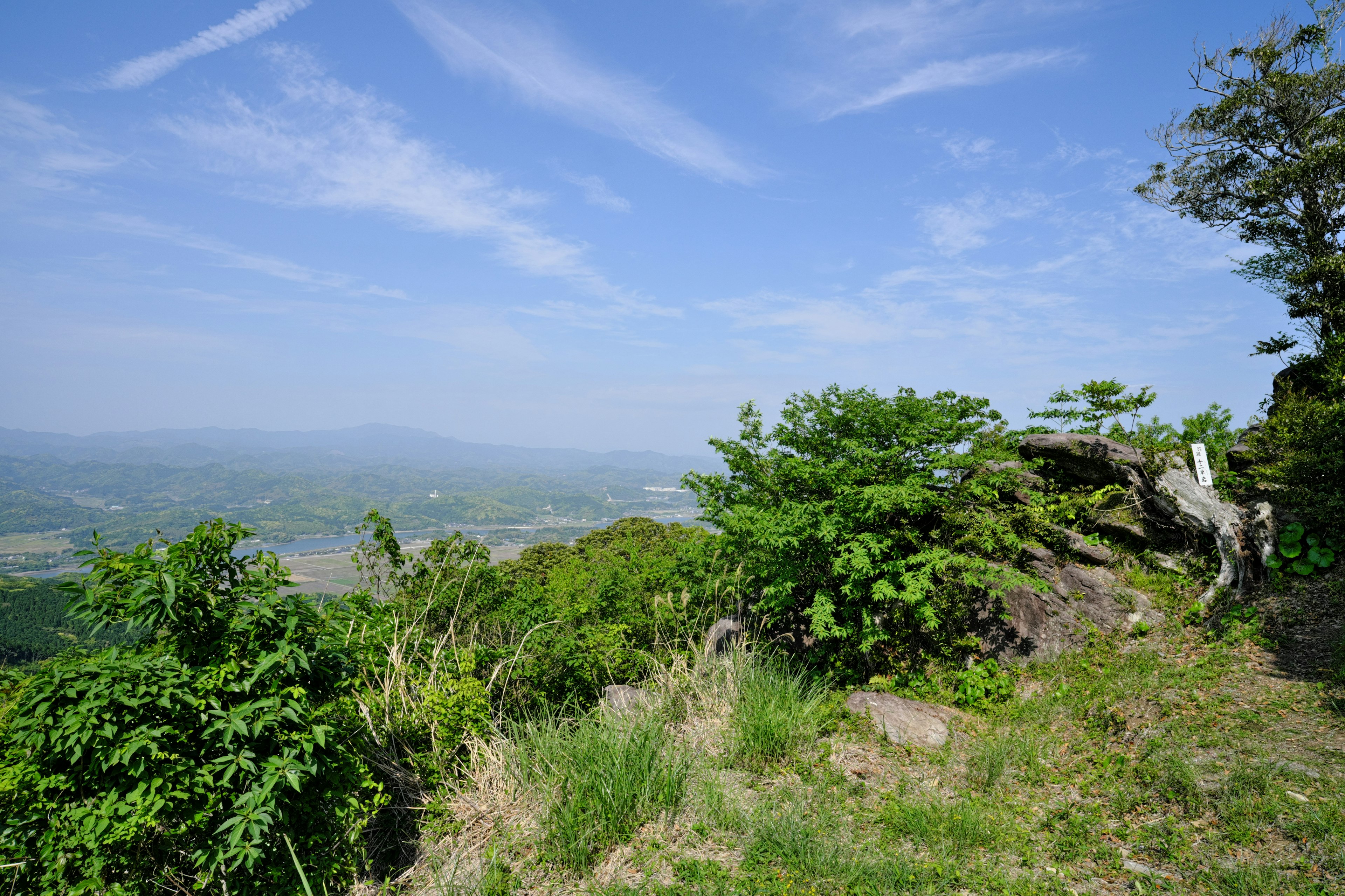 Panoramablick auf üppiges Grün unter blauem Himmel